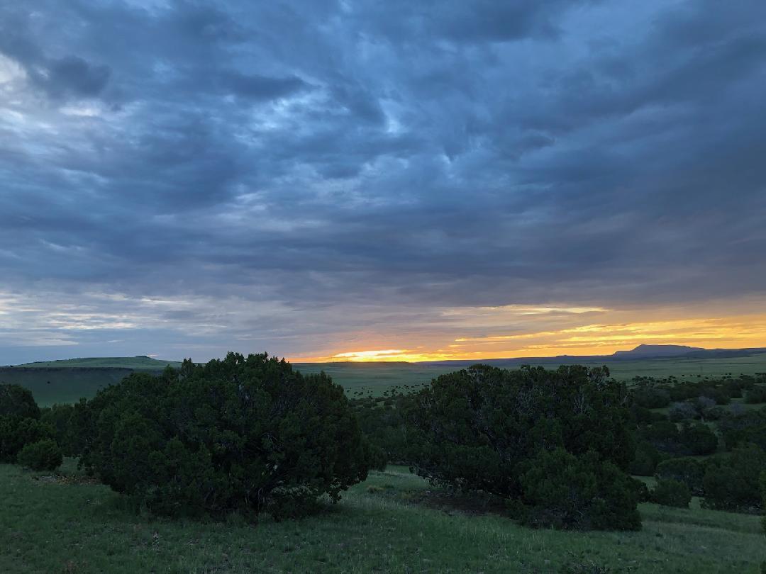 Photo 3 — 52 & 62 Wildflower Trail