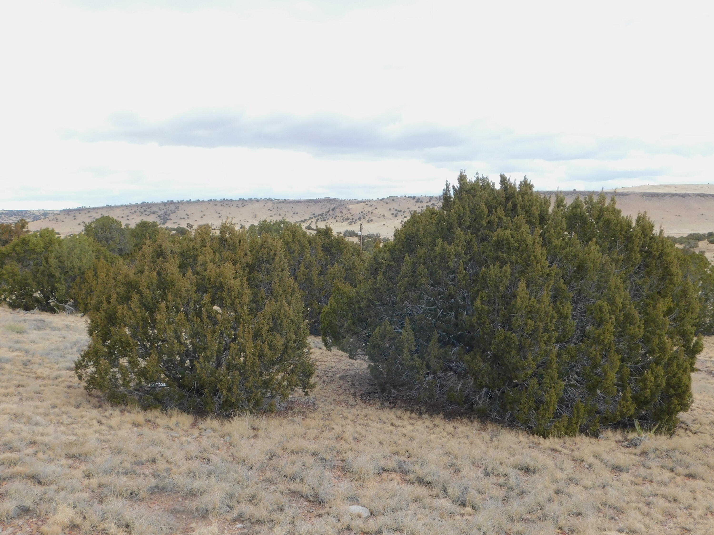 Photo 20 — 52 & 62 Wildflower Trail