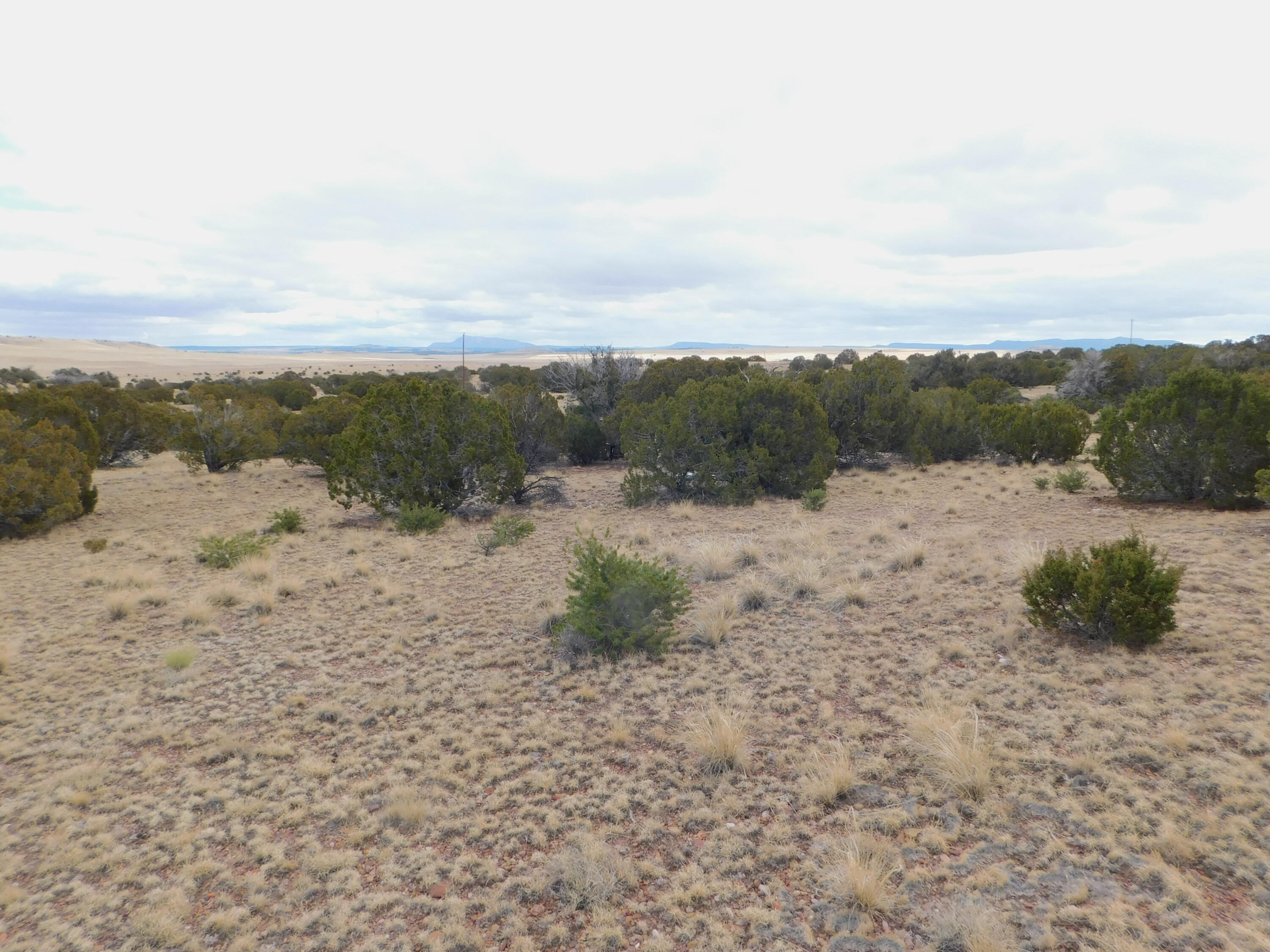 Photo 19 — 52 & 62 Wildflower Trail