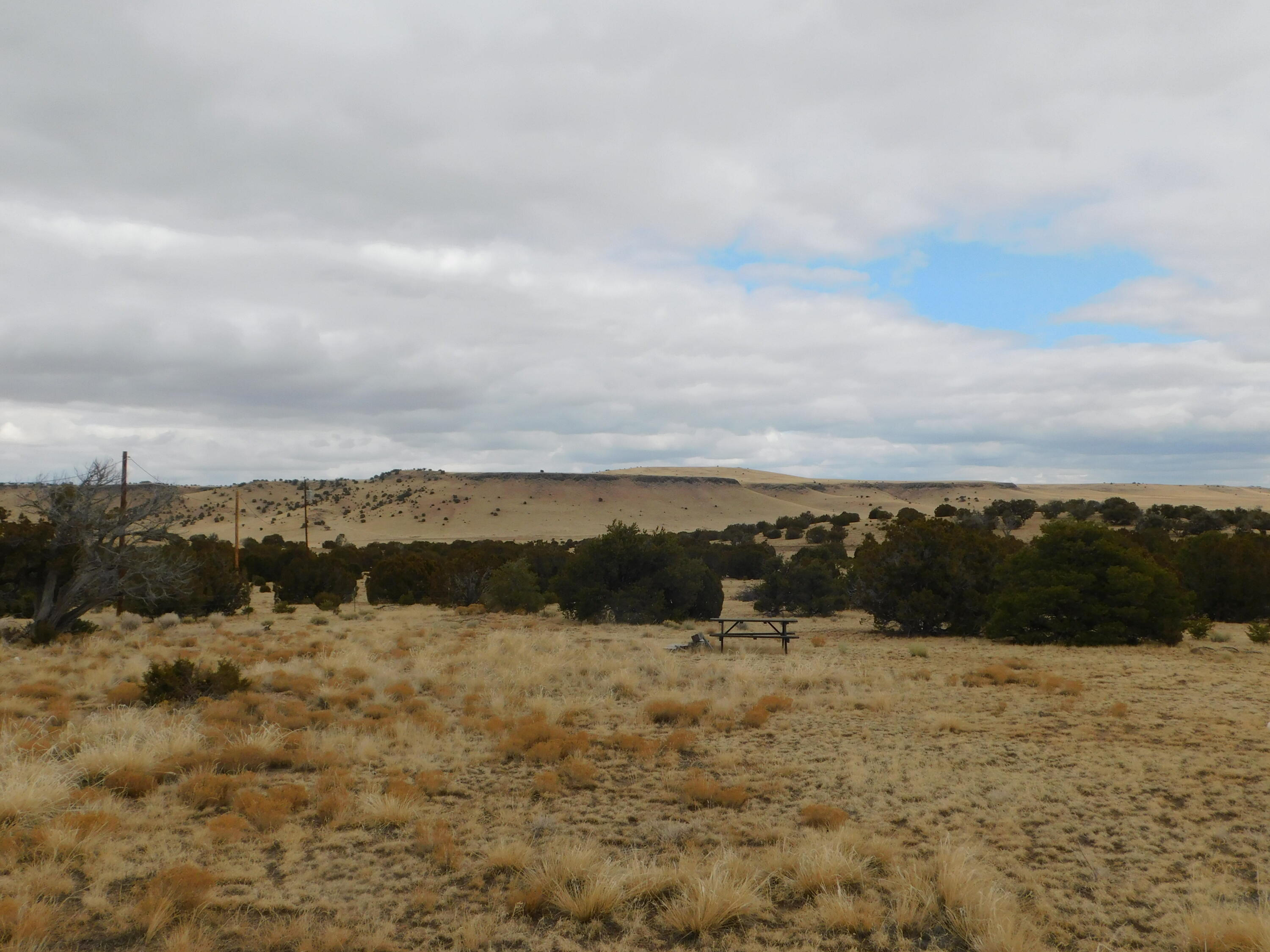 Photo 18 — 52 & 62 Wildflower Trail