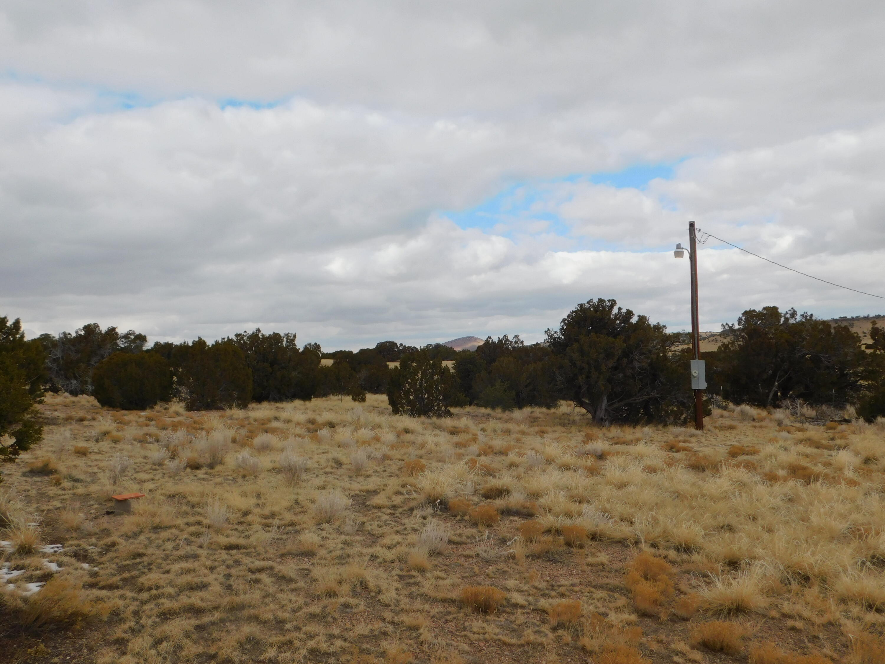 Photo 17 — 52 & 62 Wildflower Trail