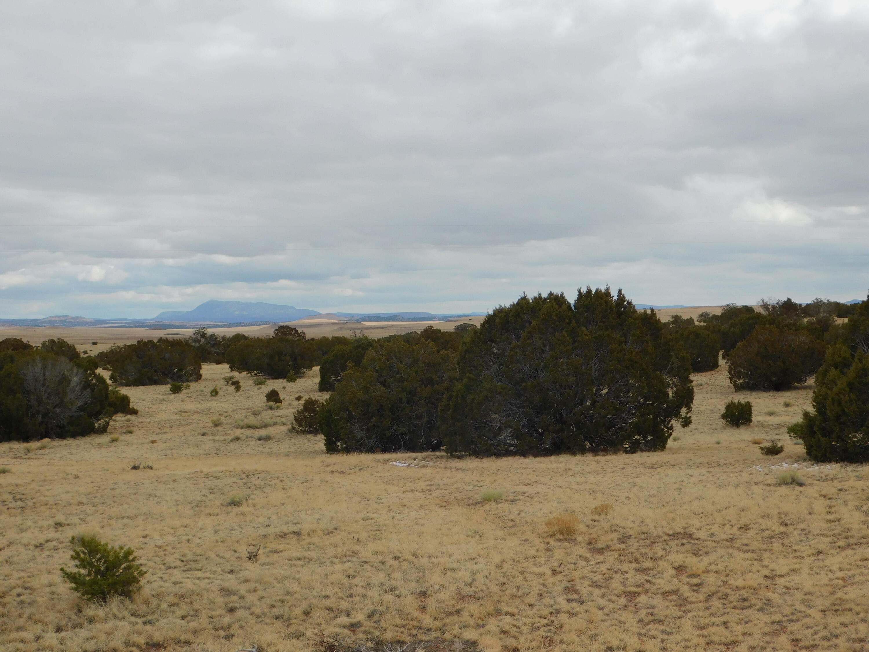 Photo 16 — 52 & 62 Wildflower Trail