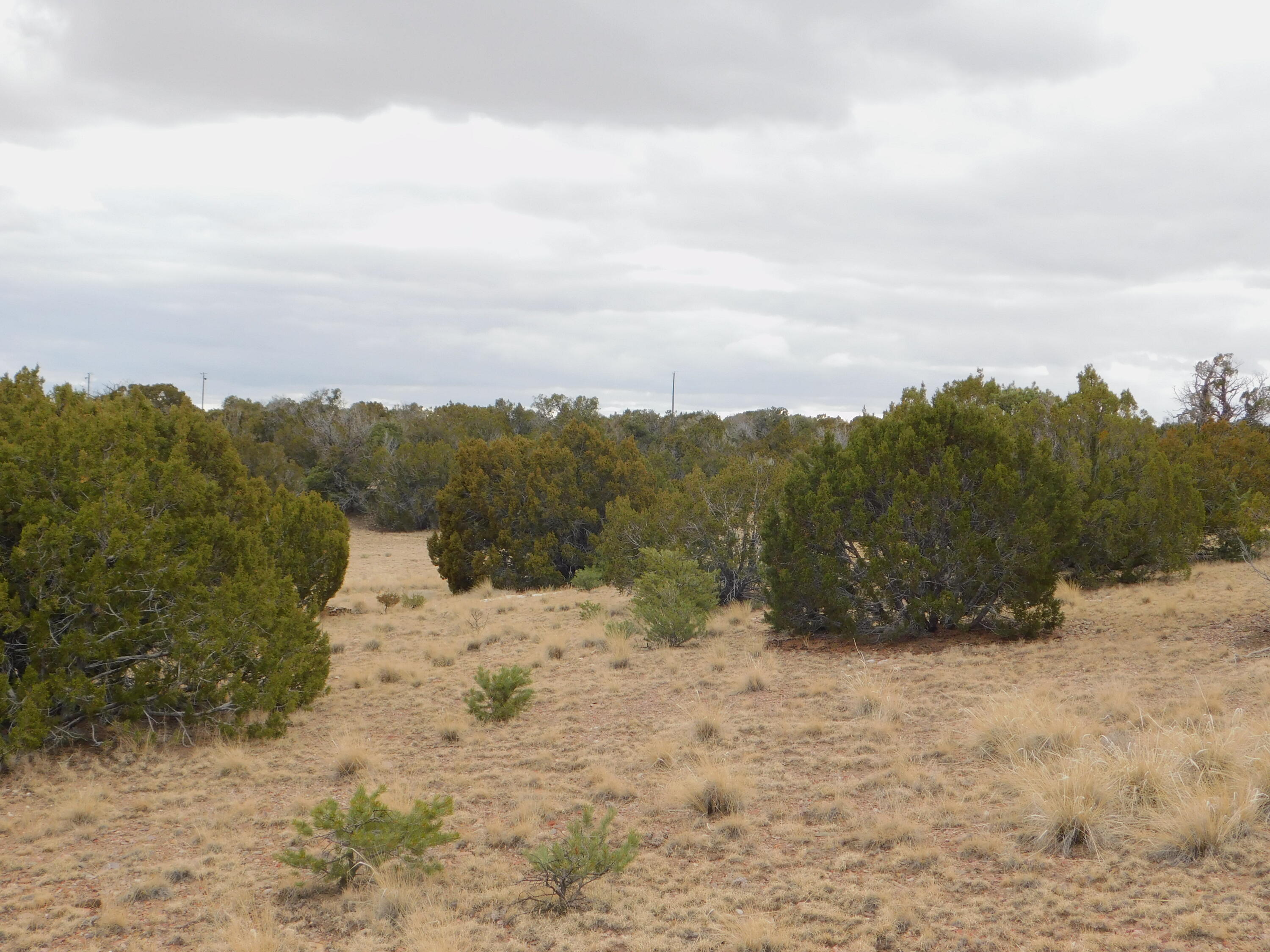 Photo 15 — 52 & 62 Wildflower Trail