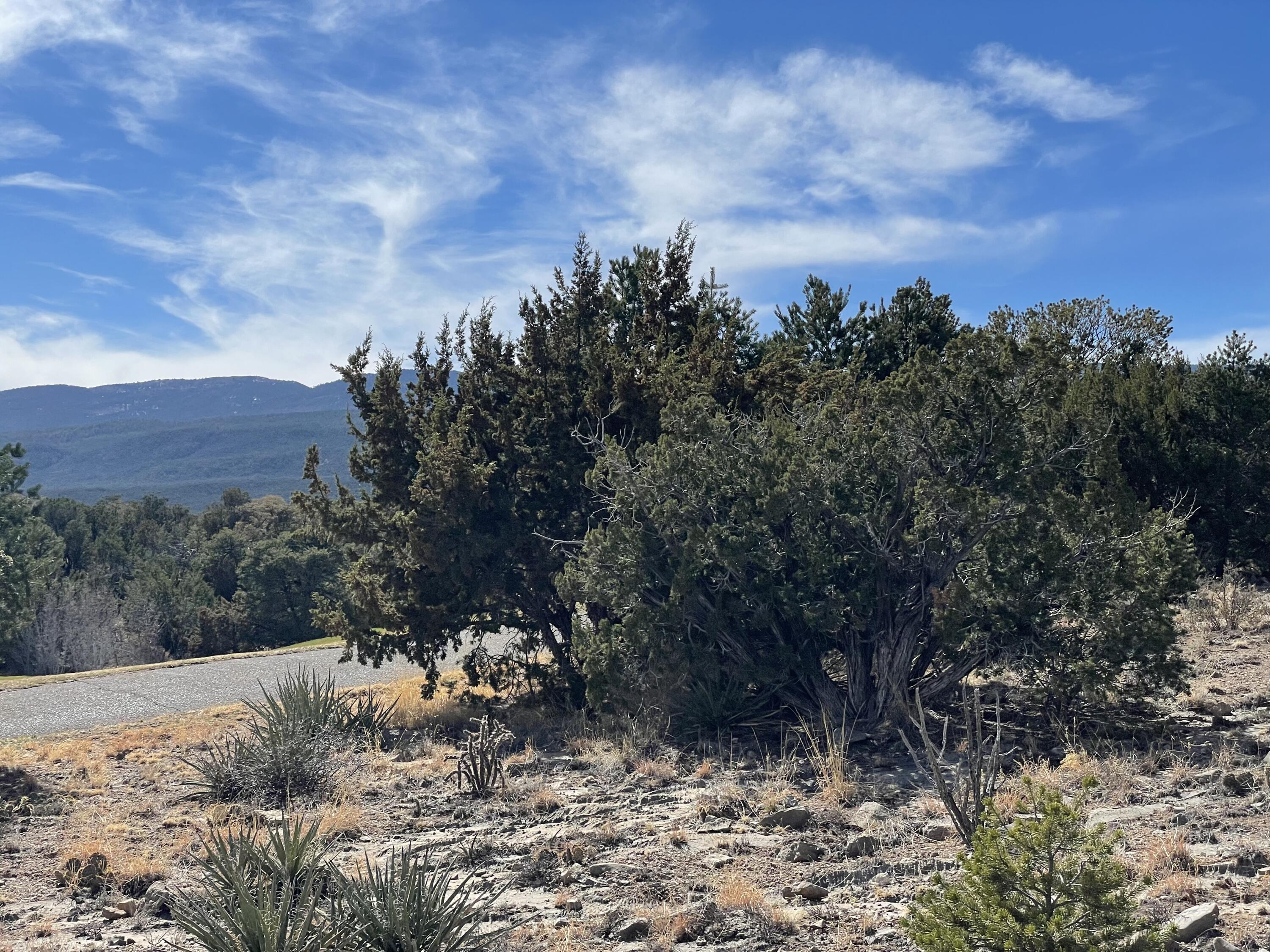 Photo 8 — 91 Rain Dance Road