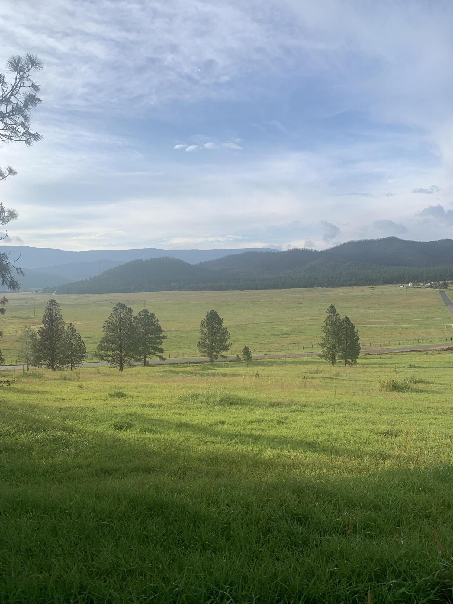 Photo 6 — 228 Cumbre Road