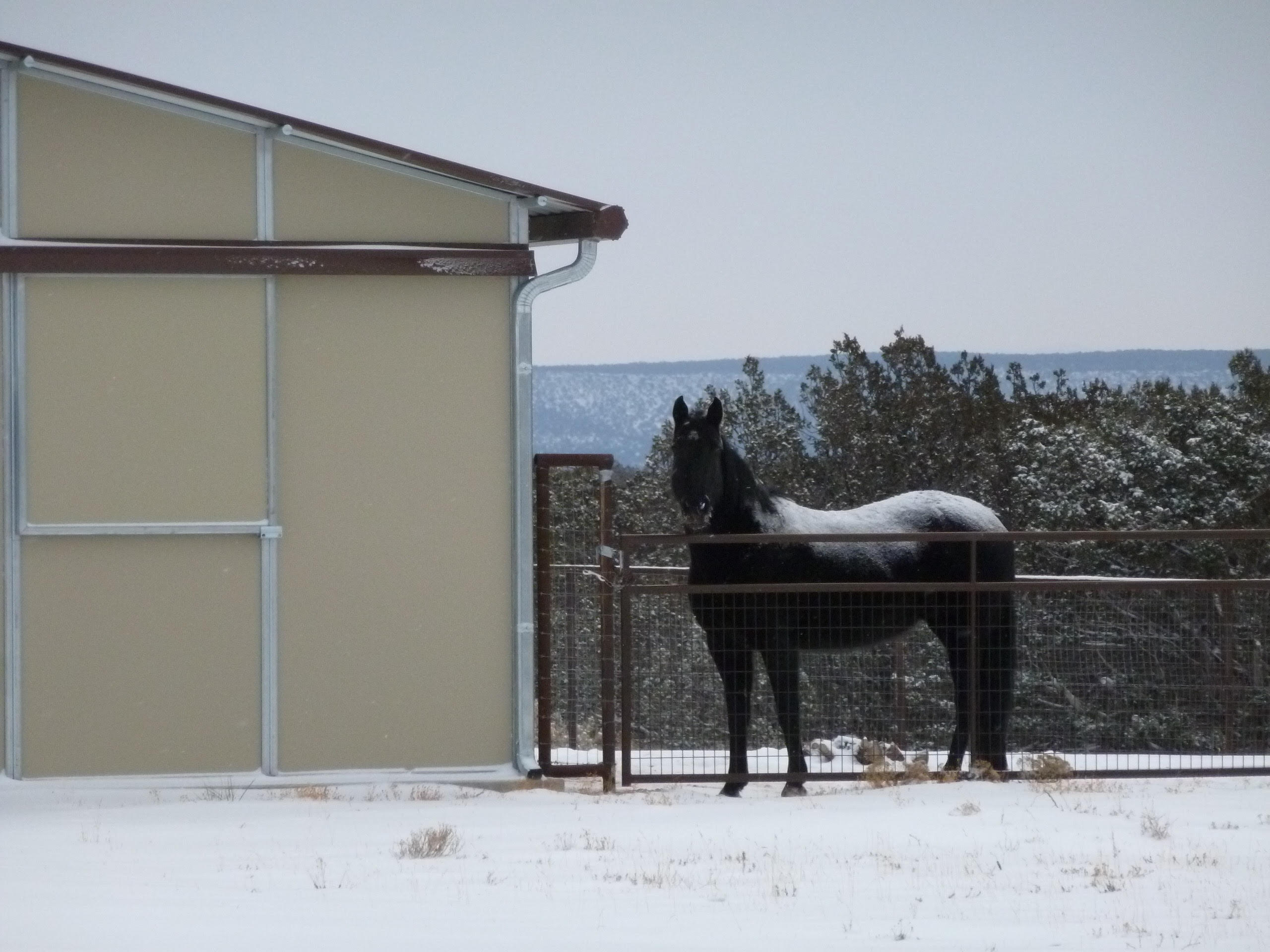 Photo 16 — 12 Elk Road