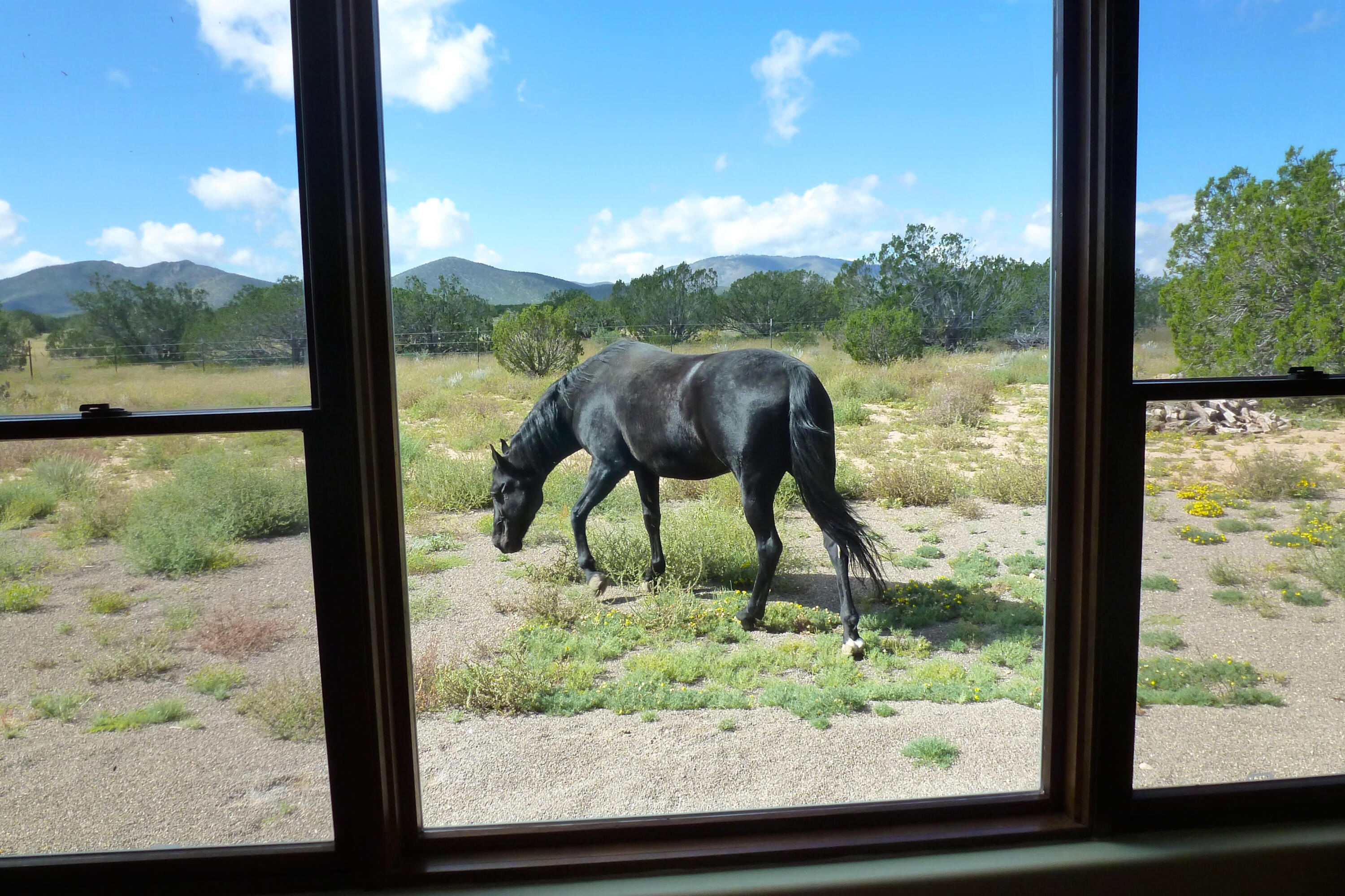 Photo 17 — 12 Elk Road