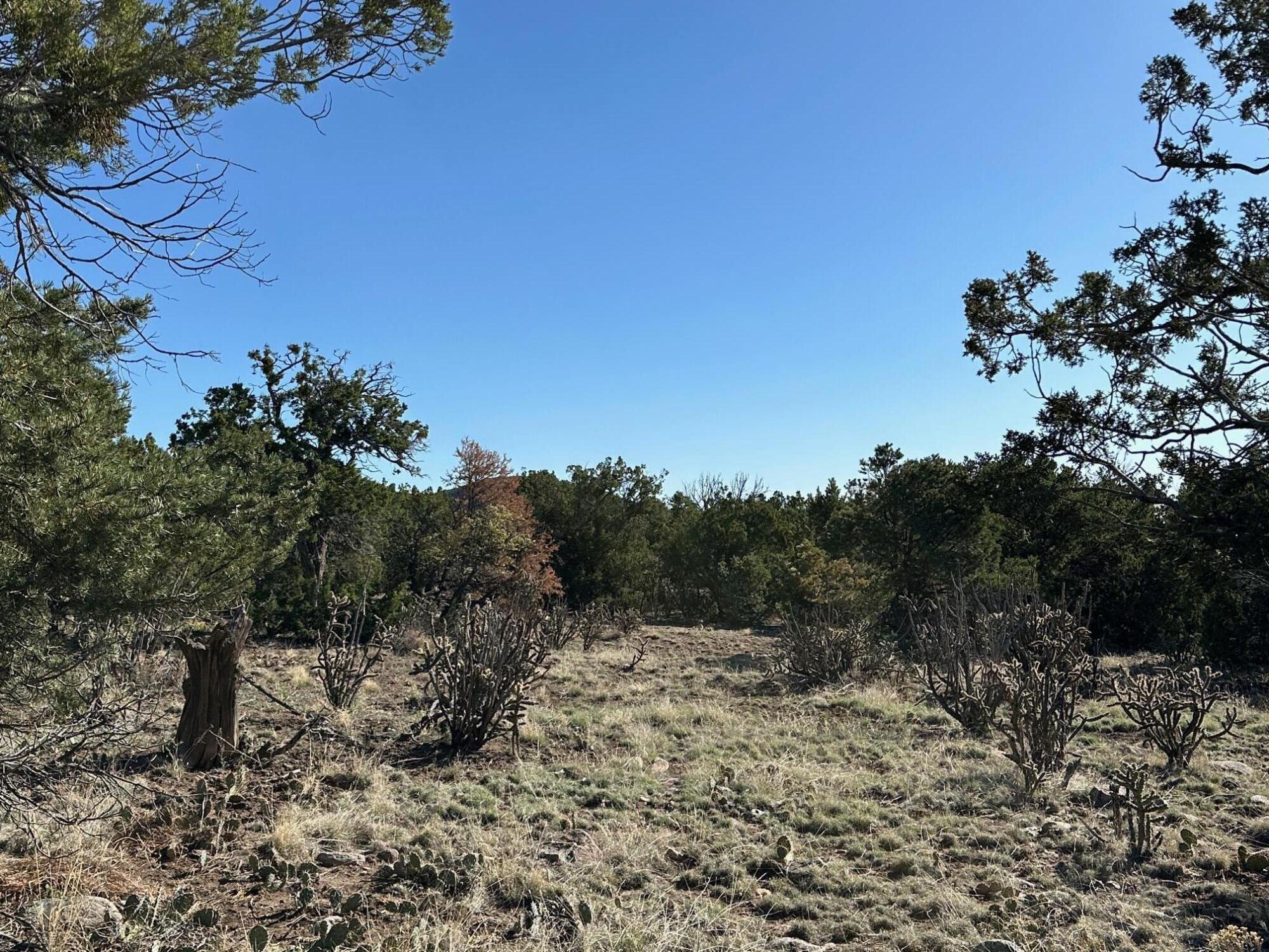 Photo 3 — 5 Canon De Manantial