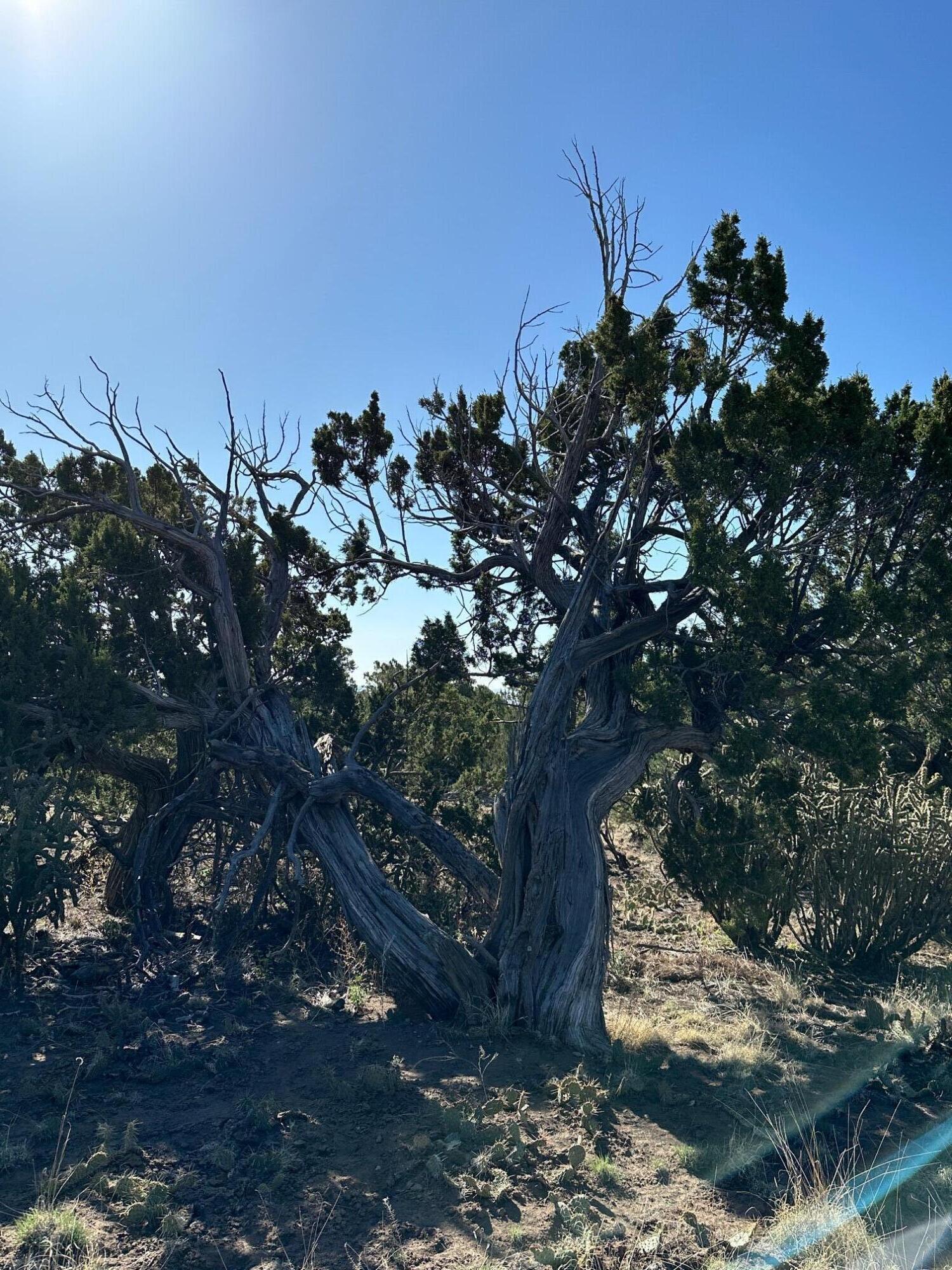 Photo 2 — 5 Canon De Manantial