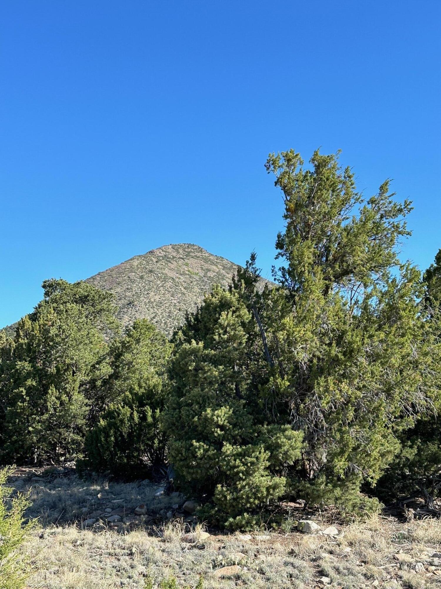 Photo 12 — 5 Canon De Manantial