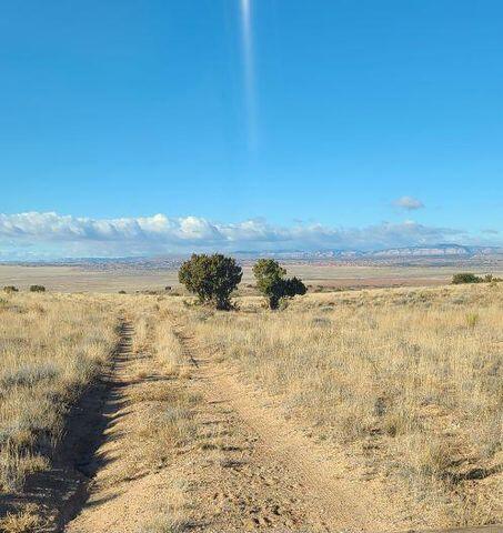  Tren Lot 2 Road, Los Lunas, NM 87031