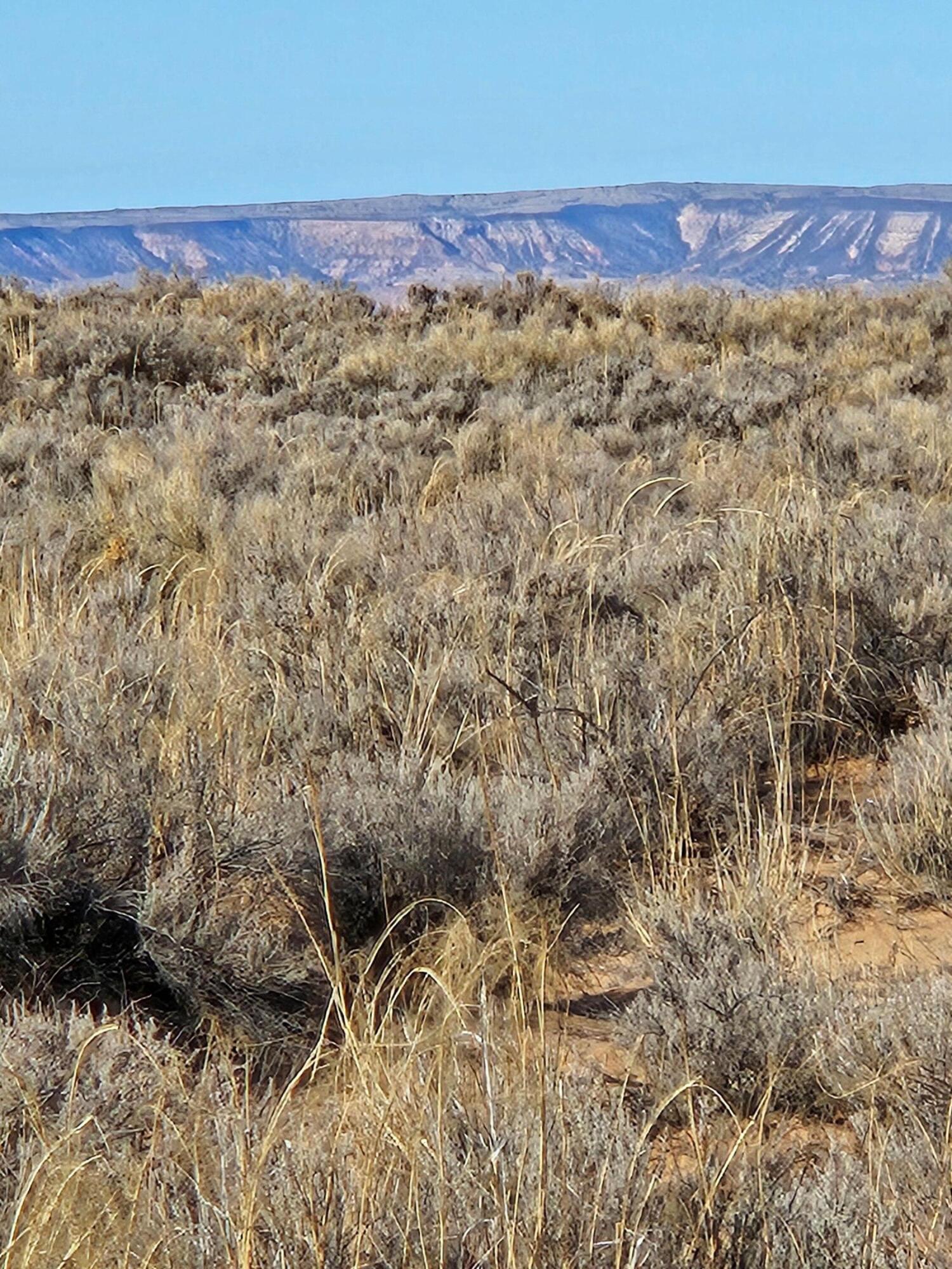 Photo 3 —  Duarte Lot 2 Road