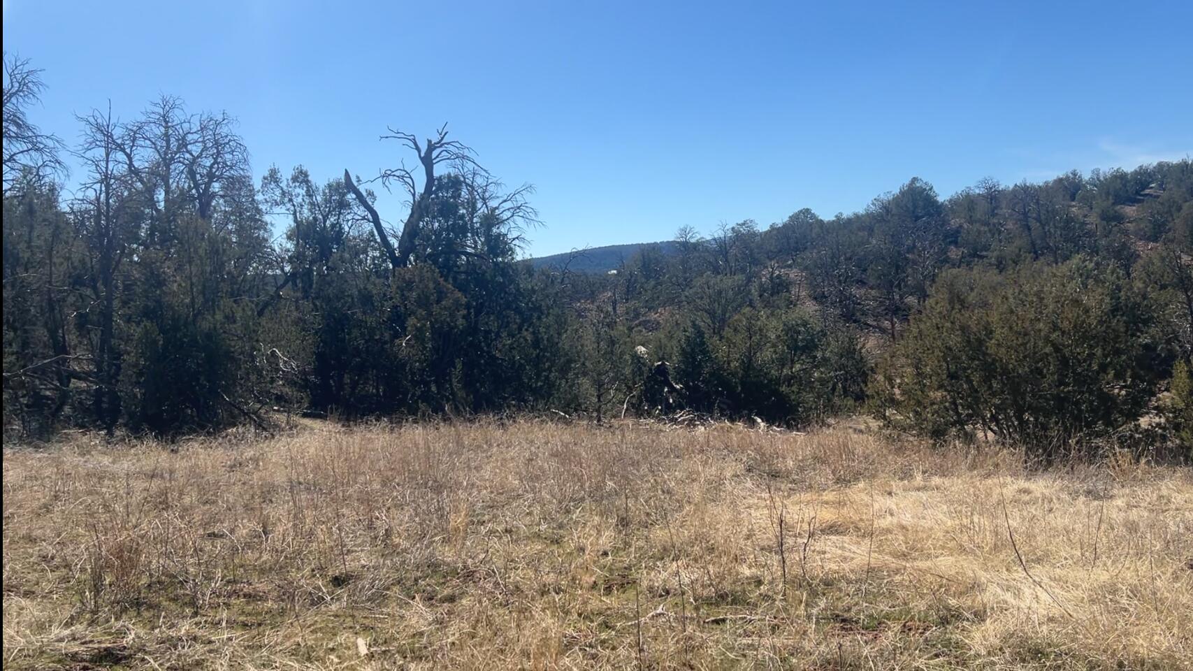 Photo 18 — 63 Jennifer Drive