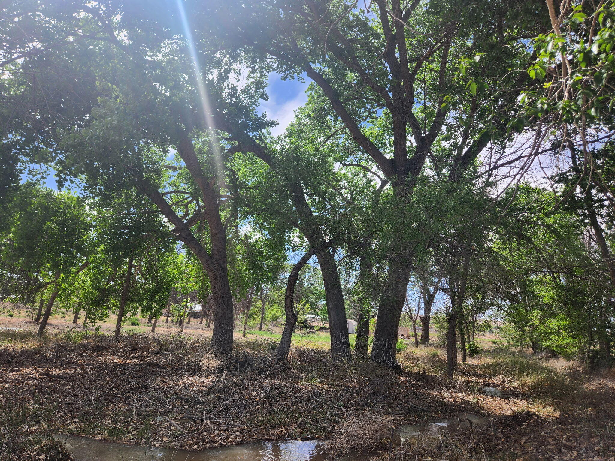 Photo 2 — 30 Pluma Road