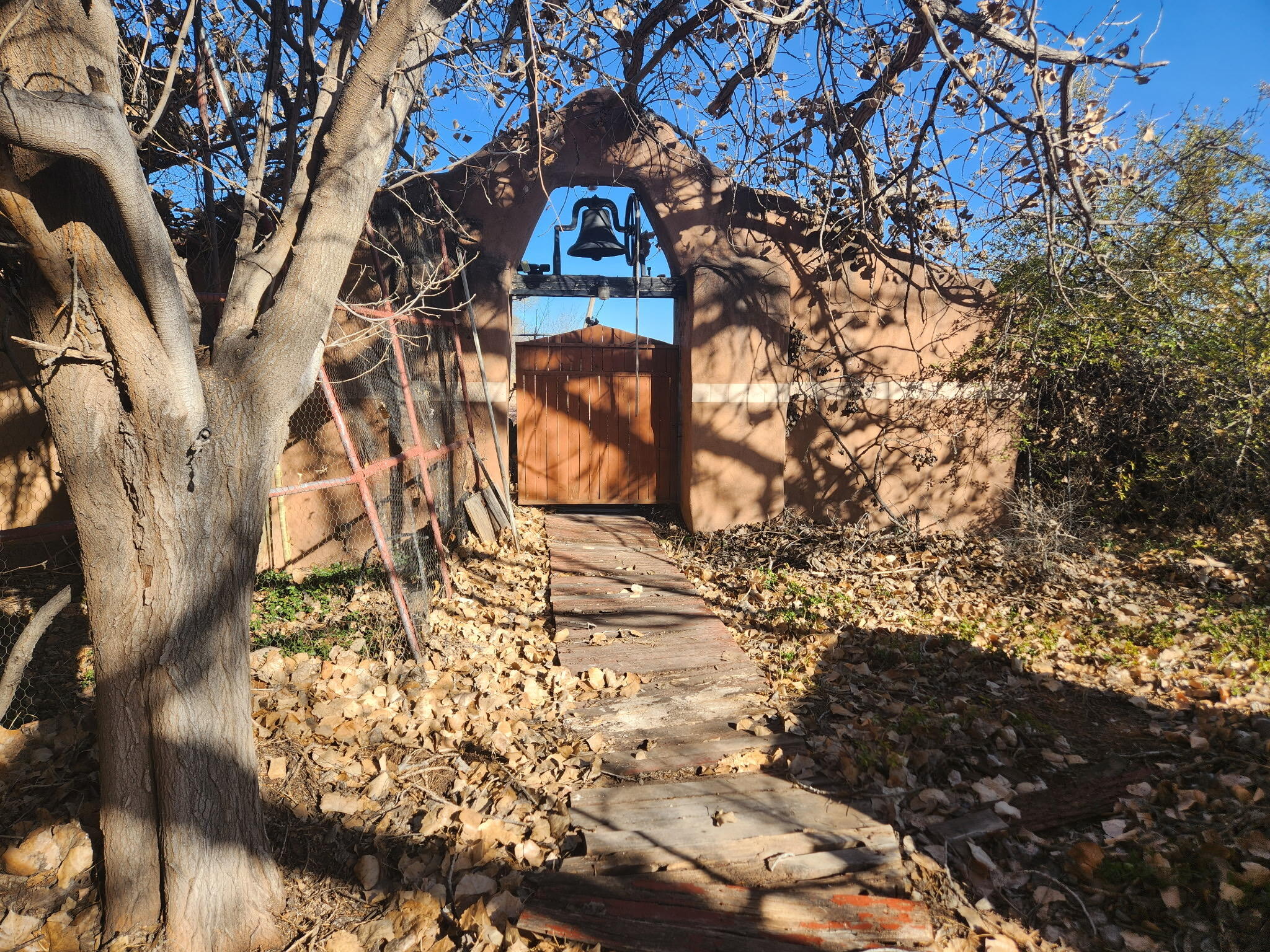 Photo 9 — 30 Pluma Road