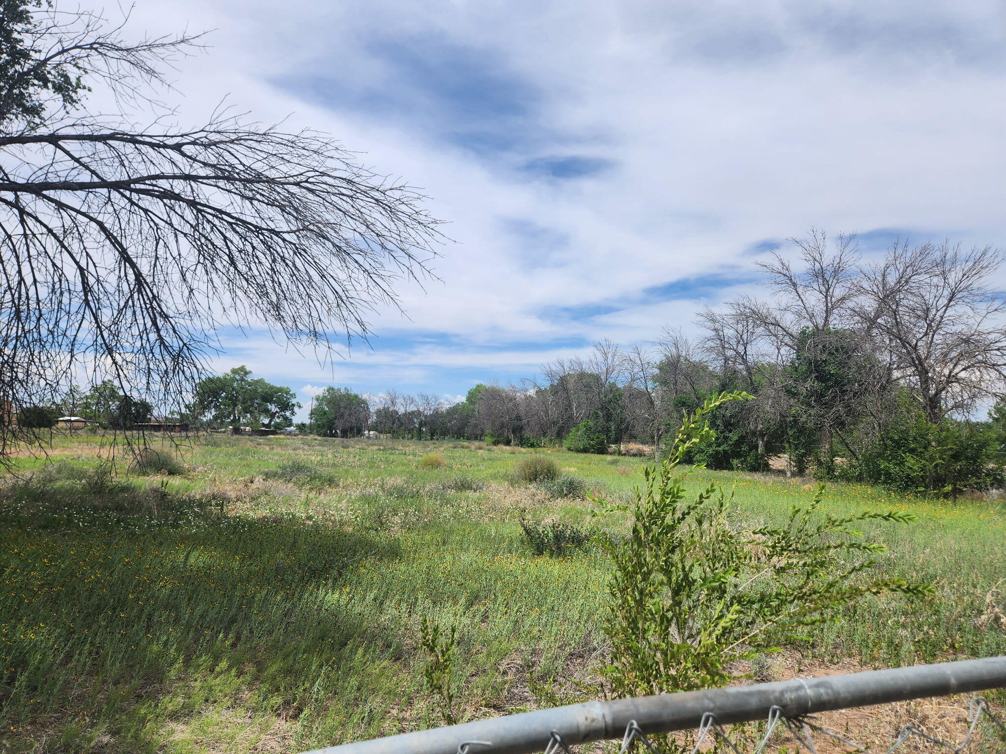 Photo 4 — 30 Pluma Road