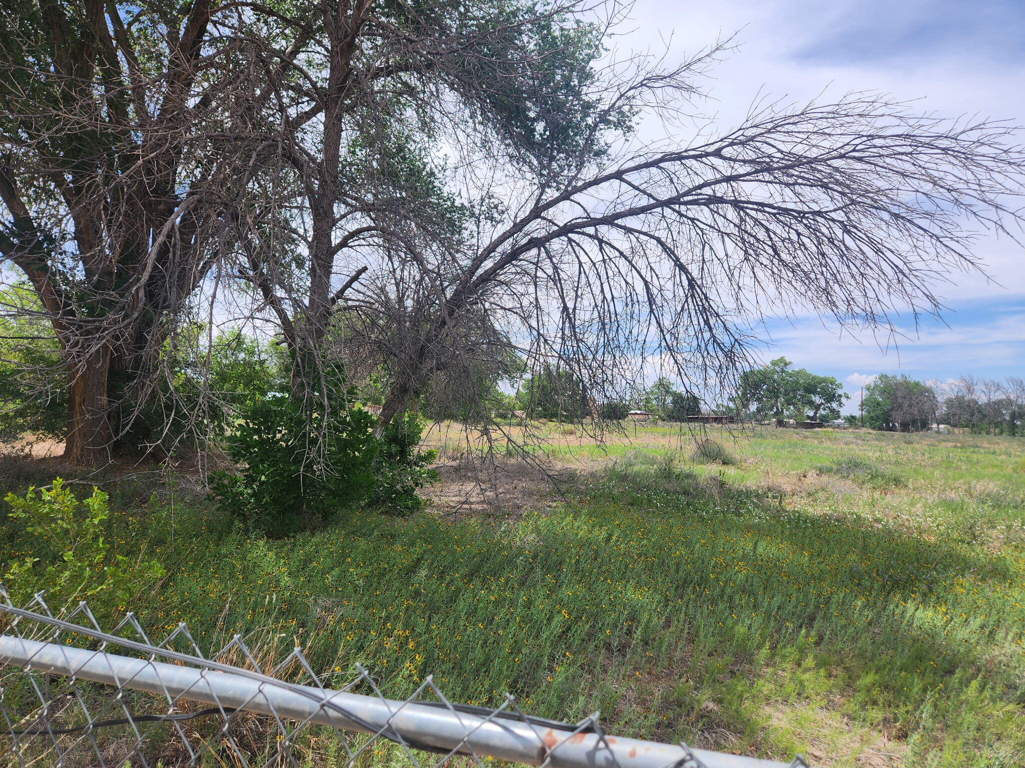 Photo 2 — 30 Pluma Road
