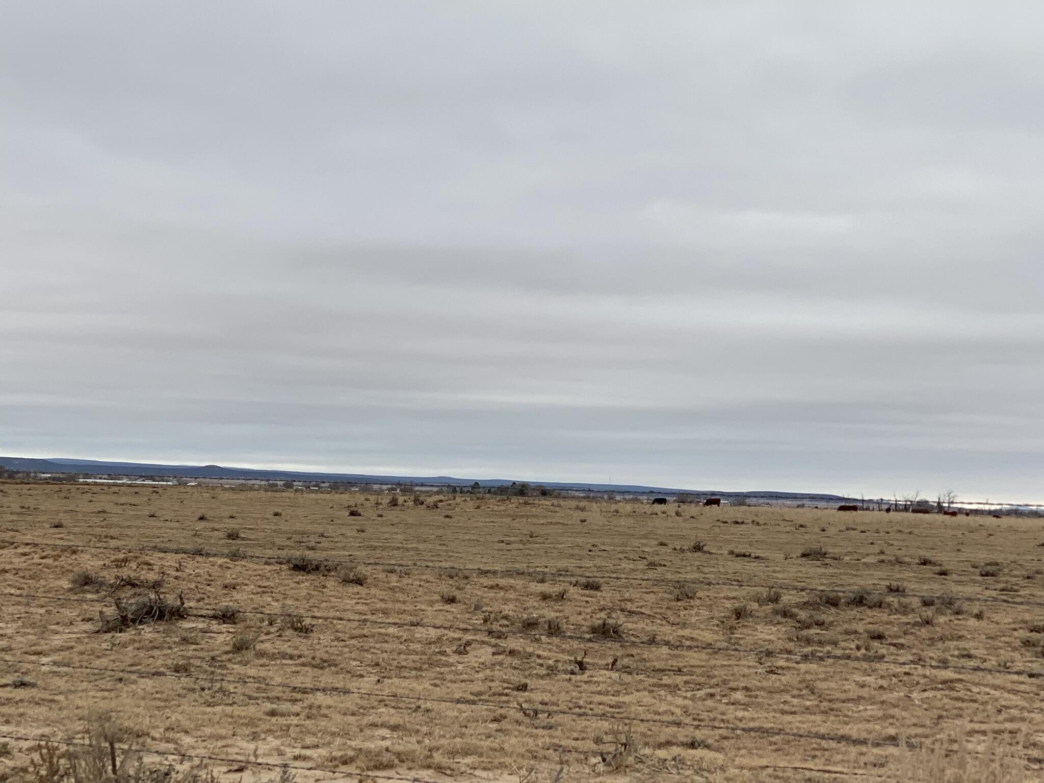 Photo 20 —  E Howell (Tr A-3) Road