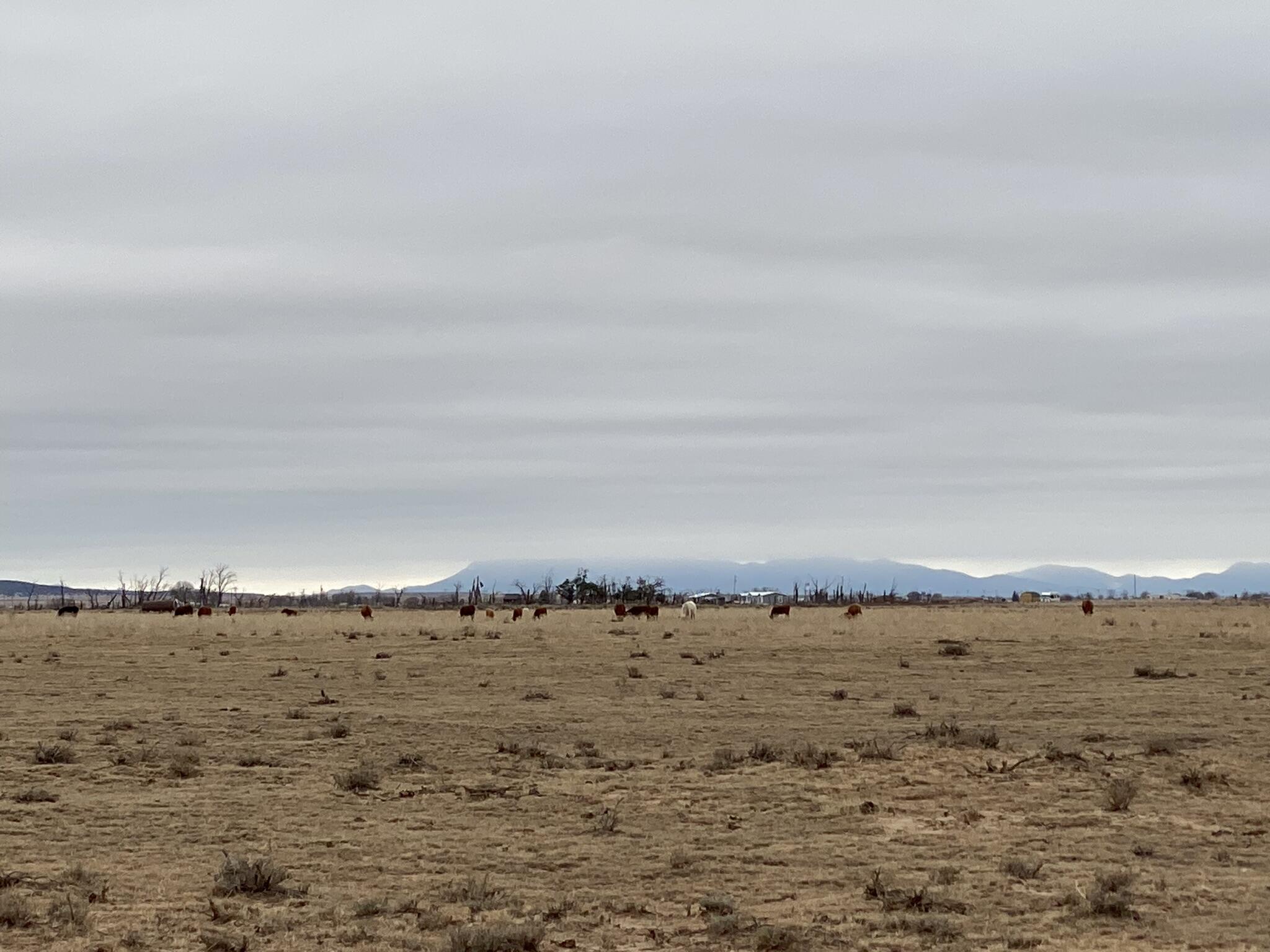 Photo 17 —  E Howell (Tr A-2) Road