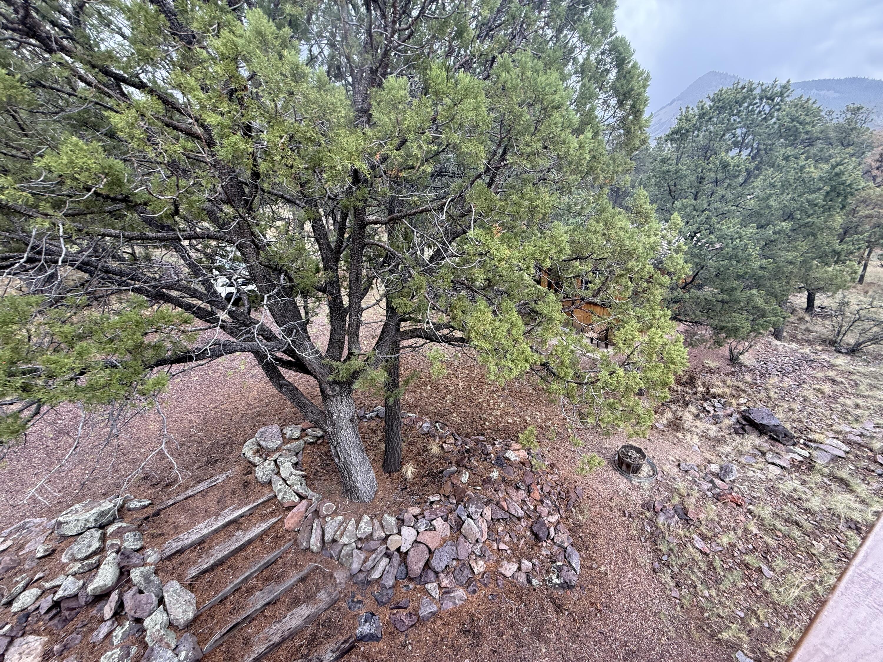 Photo 14 — 9 Cochise Drive