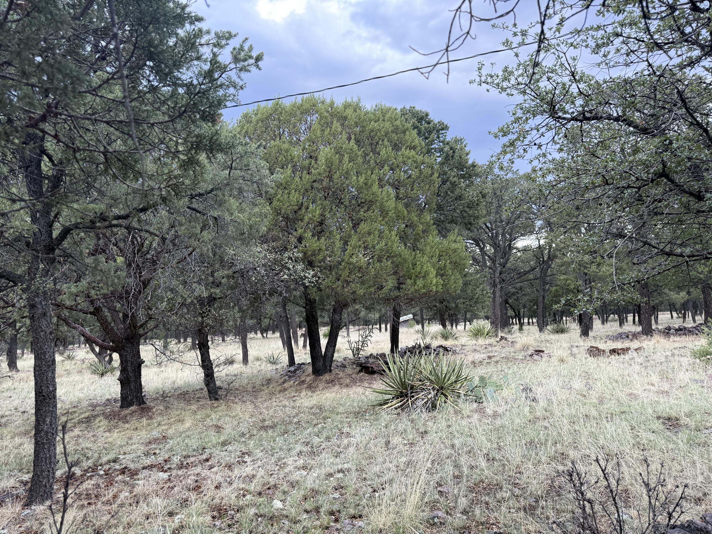 Photo 8 — 9 Cochise Drive
