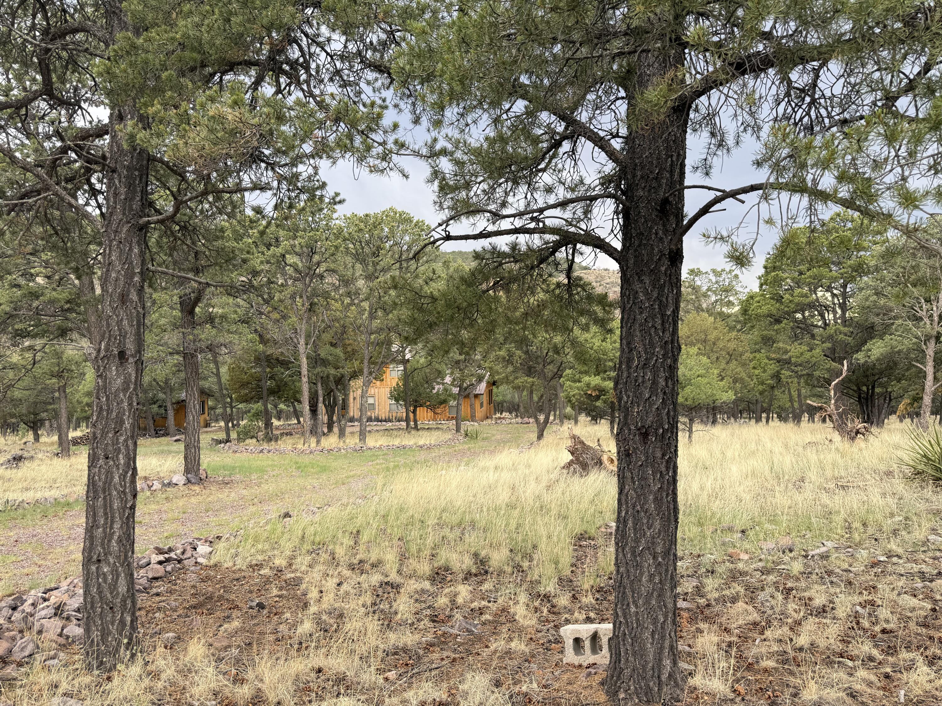 Photo 7 — 9 Cochise Drive