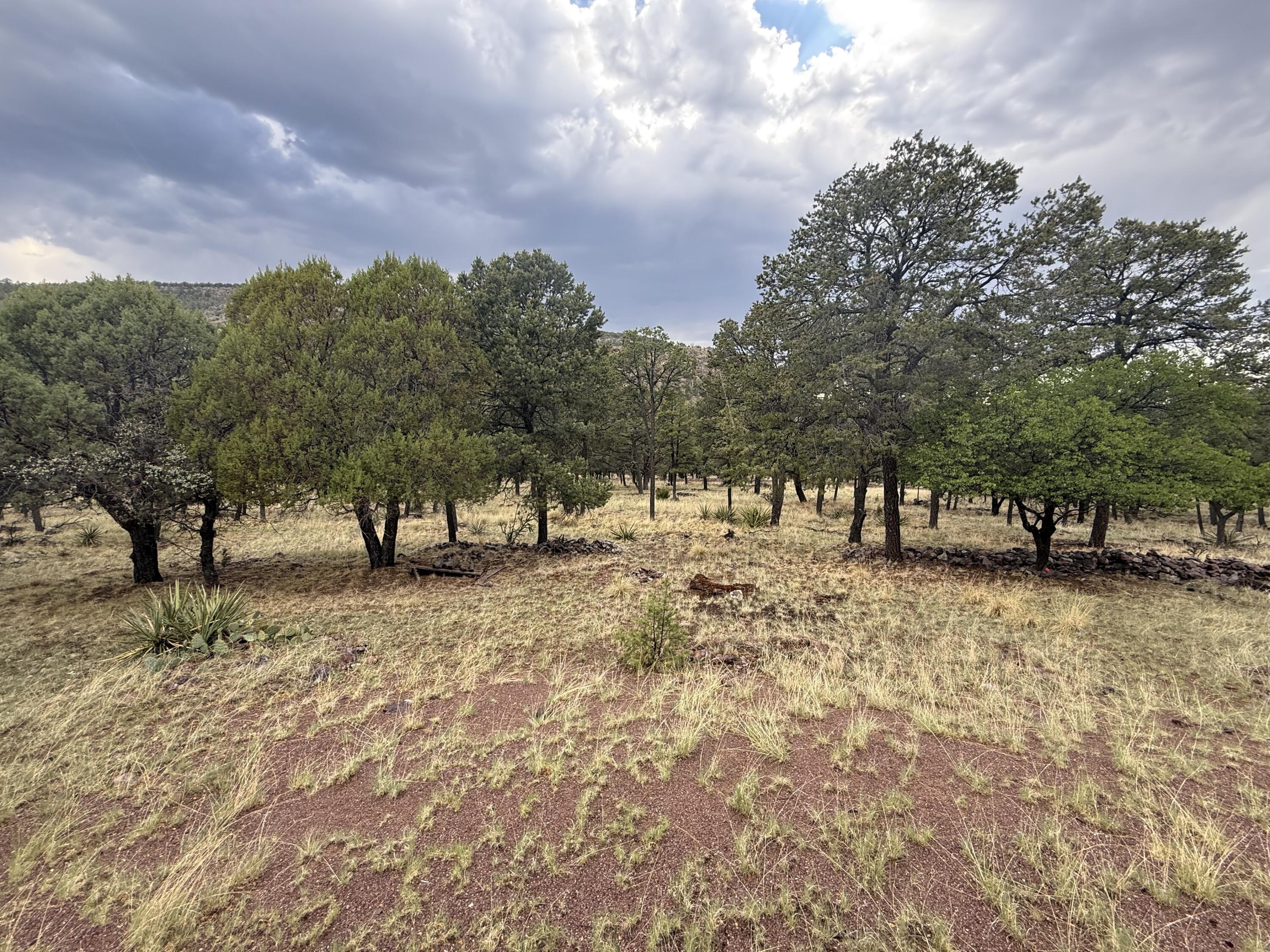 Photo 5 — 9 Cochise Drive