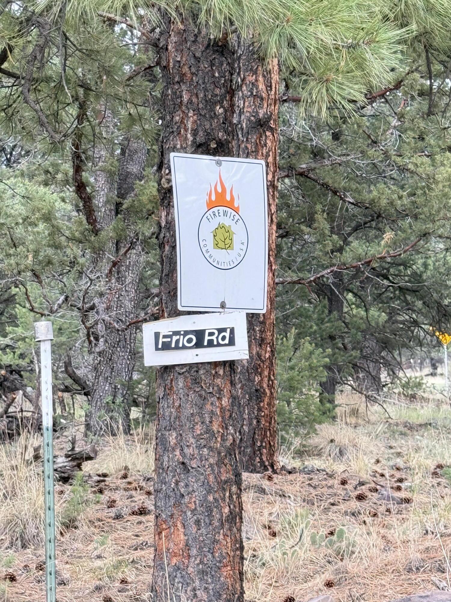 Photo 2 — 9 Cochise Drive