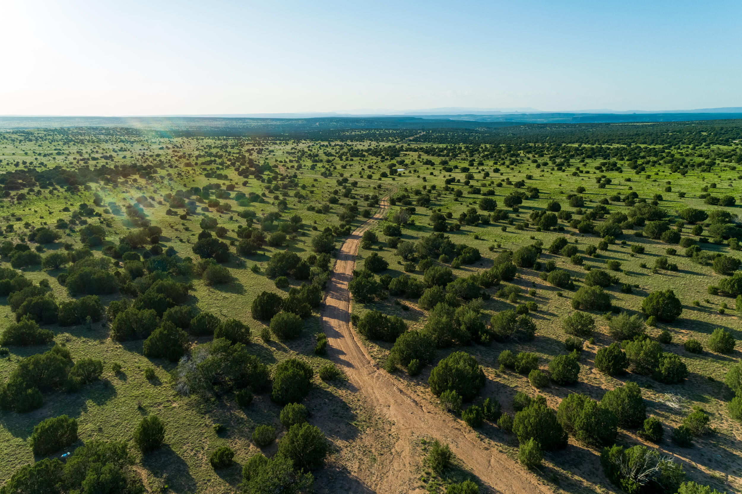 Photo 4 — 4221 Palo Amarillo Road