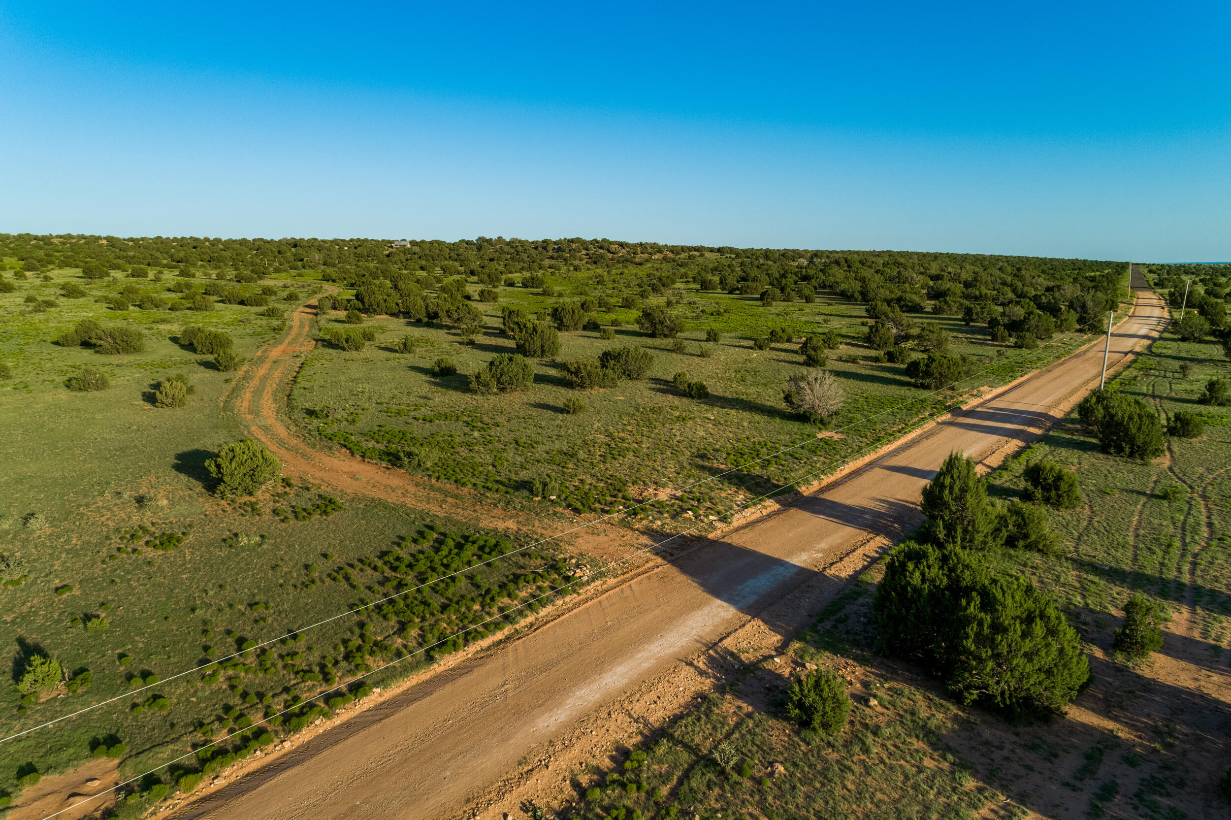 Photo 5 — 4221 Palo Amarillo Road