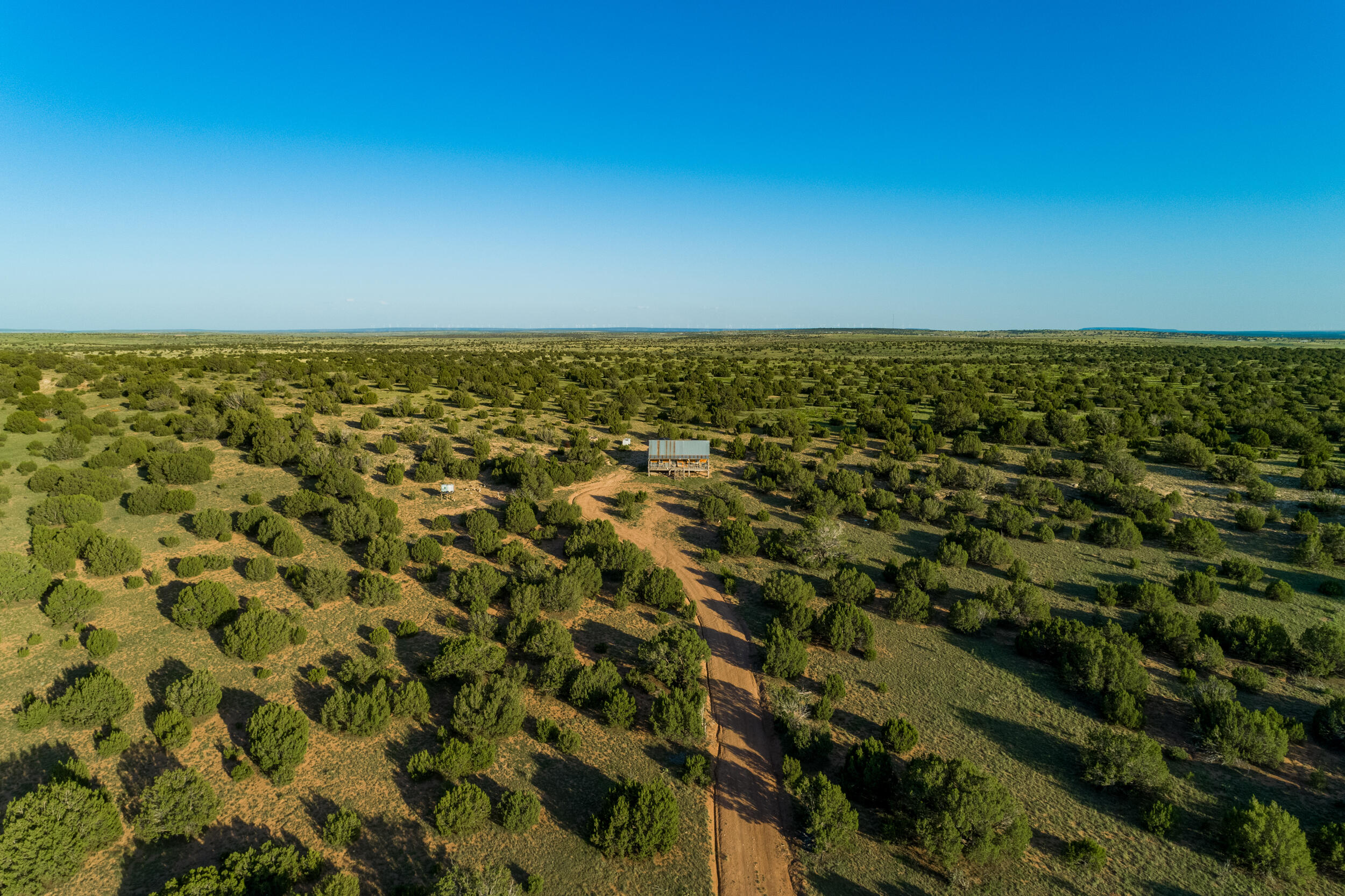 Photo 7 — 4221 Palo Amarillo Road