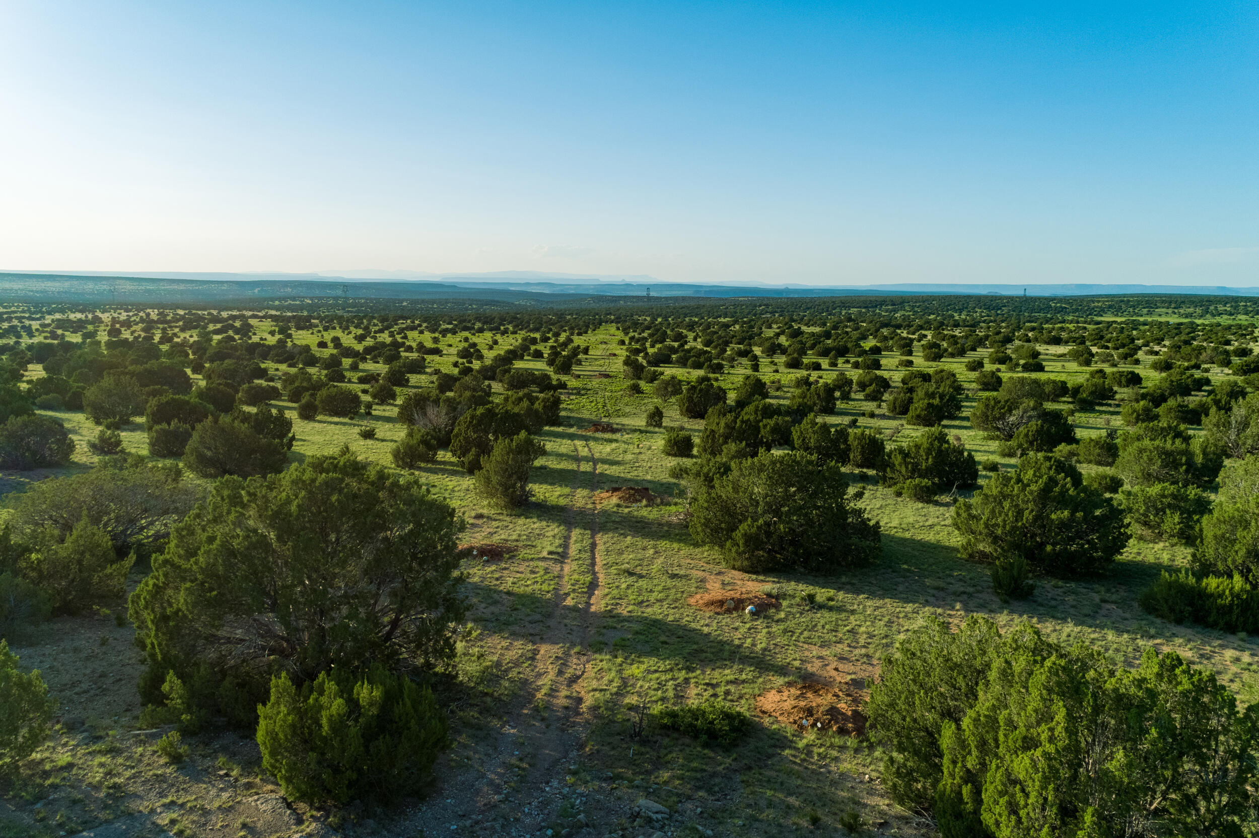 Photo 12 — 4221 Palo Amarillo Road