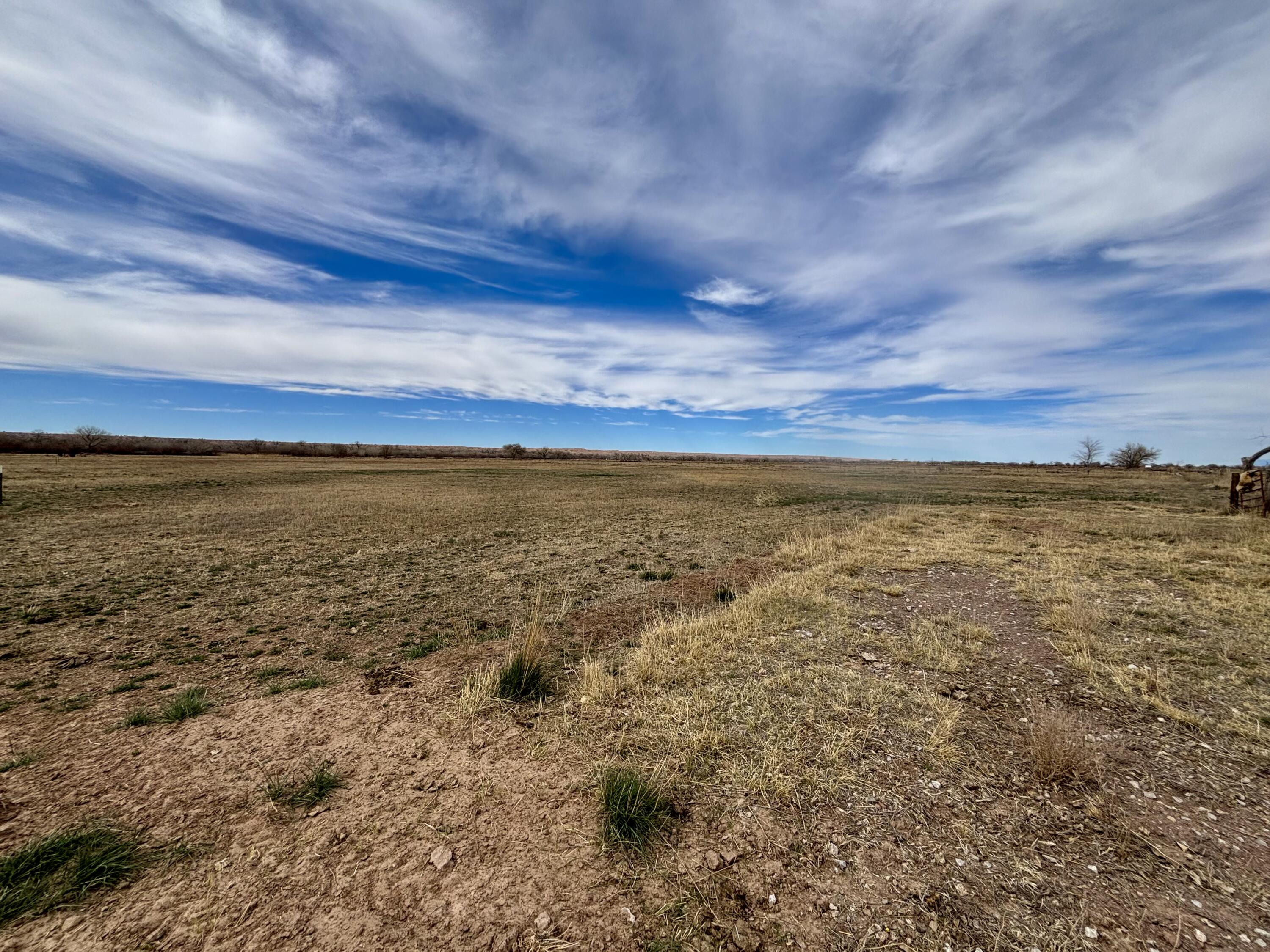Photo 4 —  Camino Ulibarri