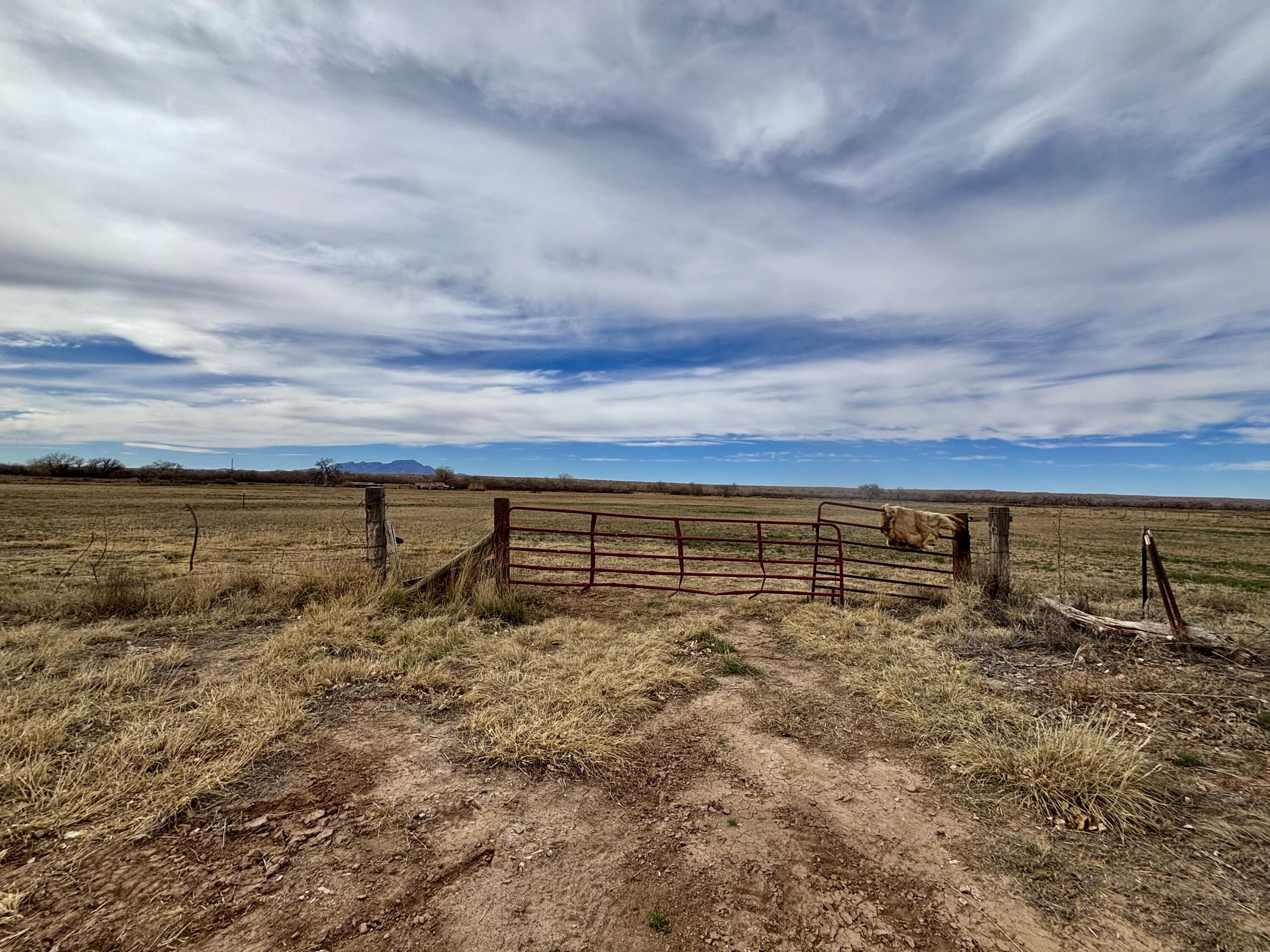 Photo 8 —  Camino Ulibarri