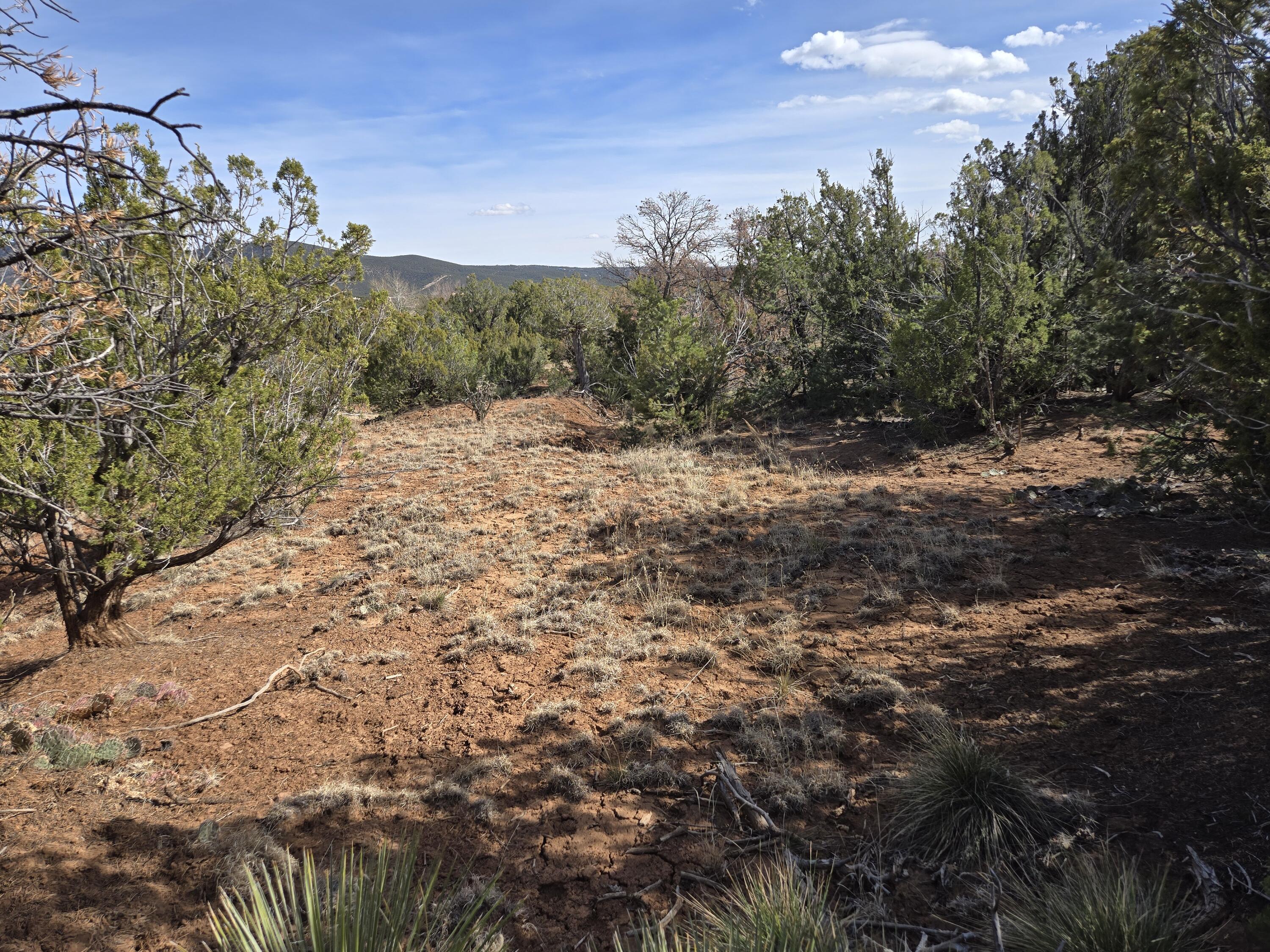 Photo 2 — 125 Kiva Place 246
