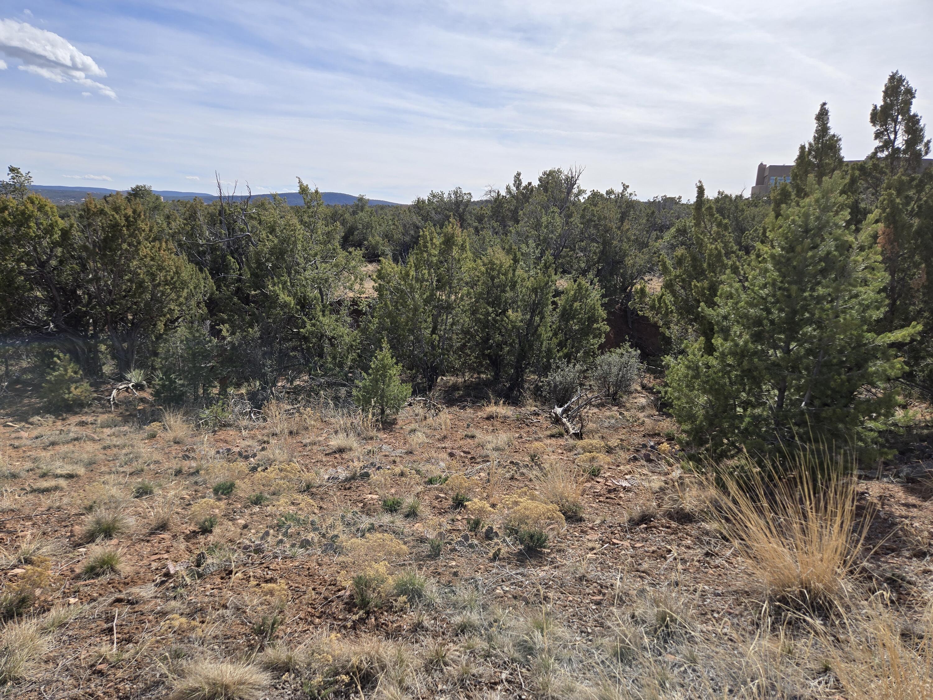 Photo 5 — 125 Kiva Place 246