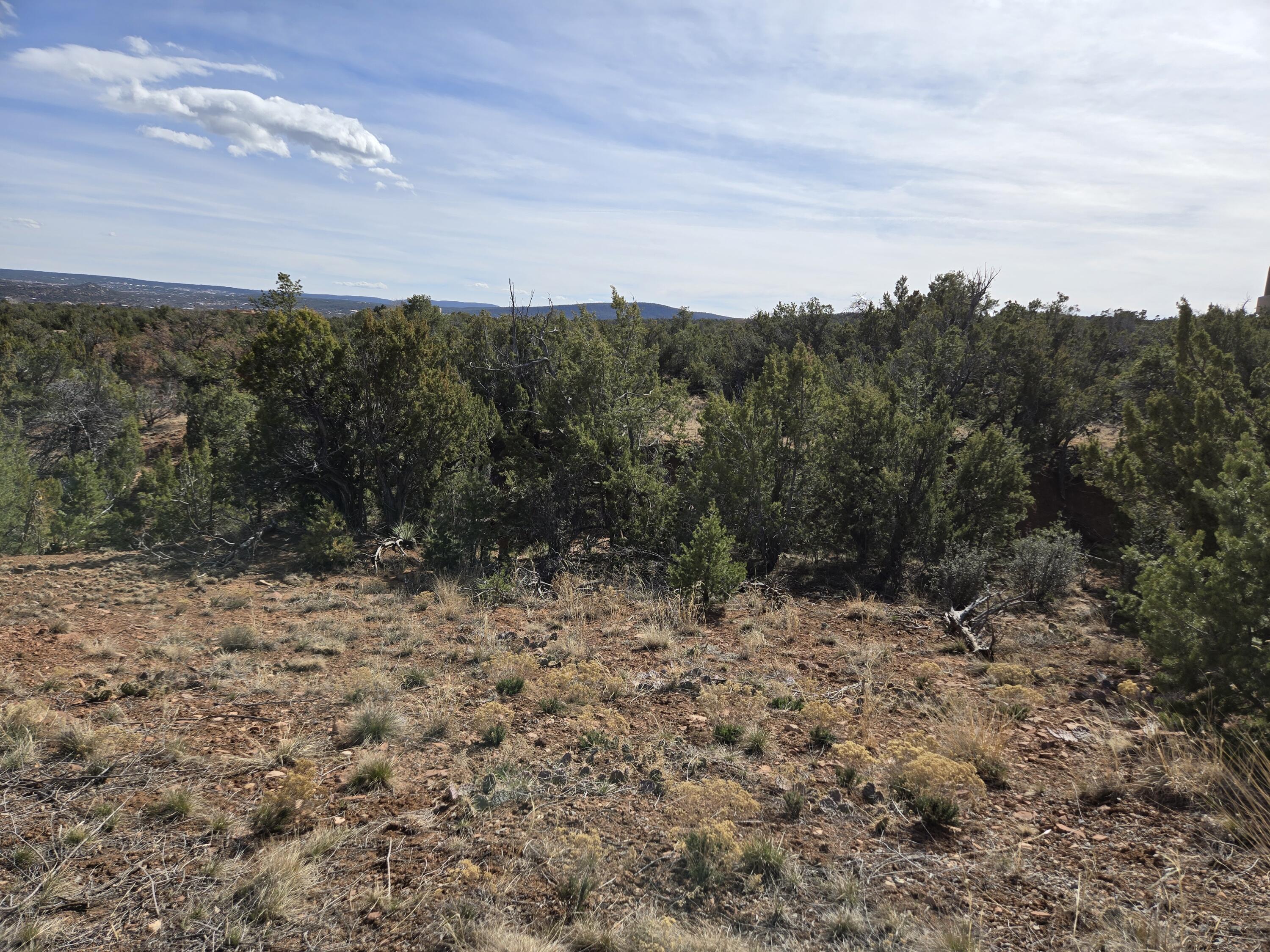 Photo 7 — 125 Kiva Place 246