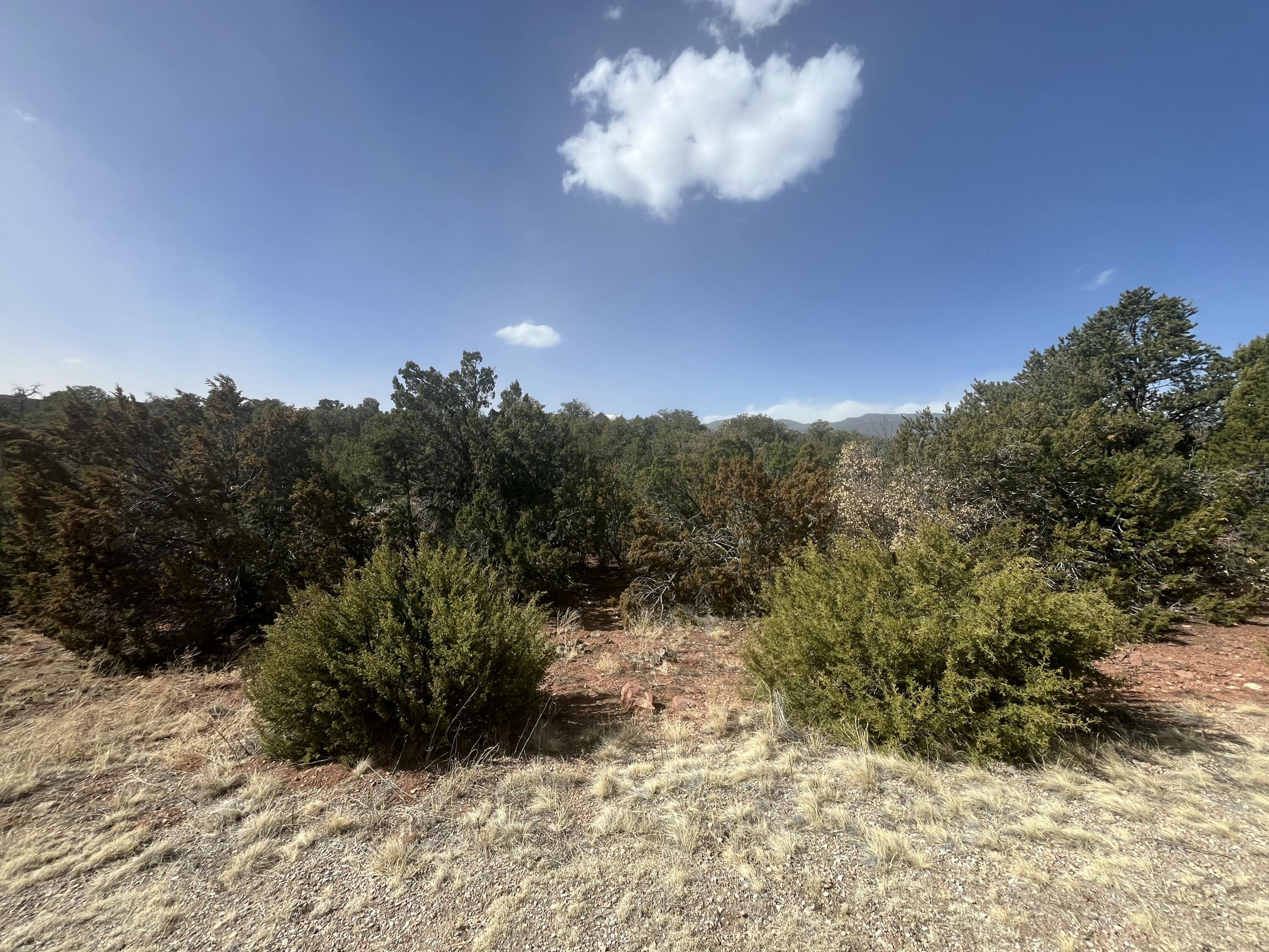 58 Moccasin Trail, Sandia Park, NM 87047