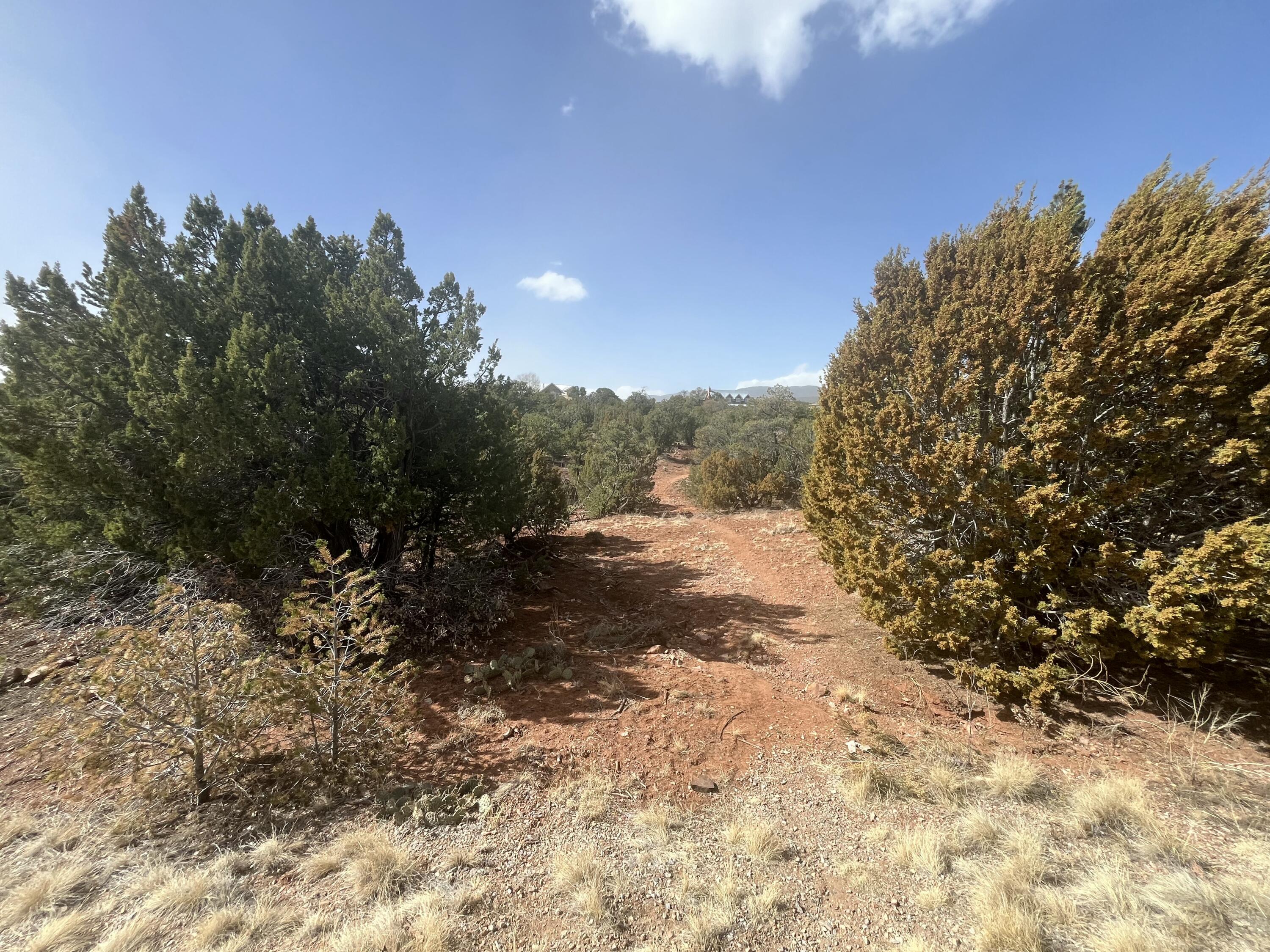 Photo 3 — 58 Moccasin Trail