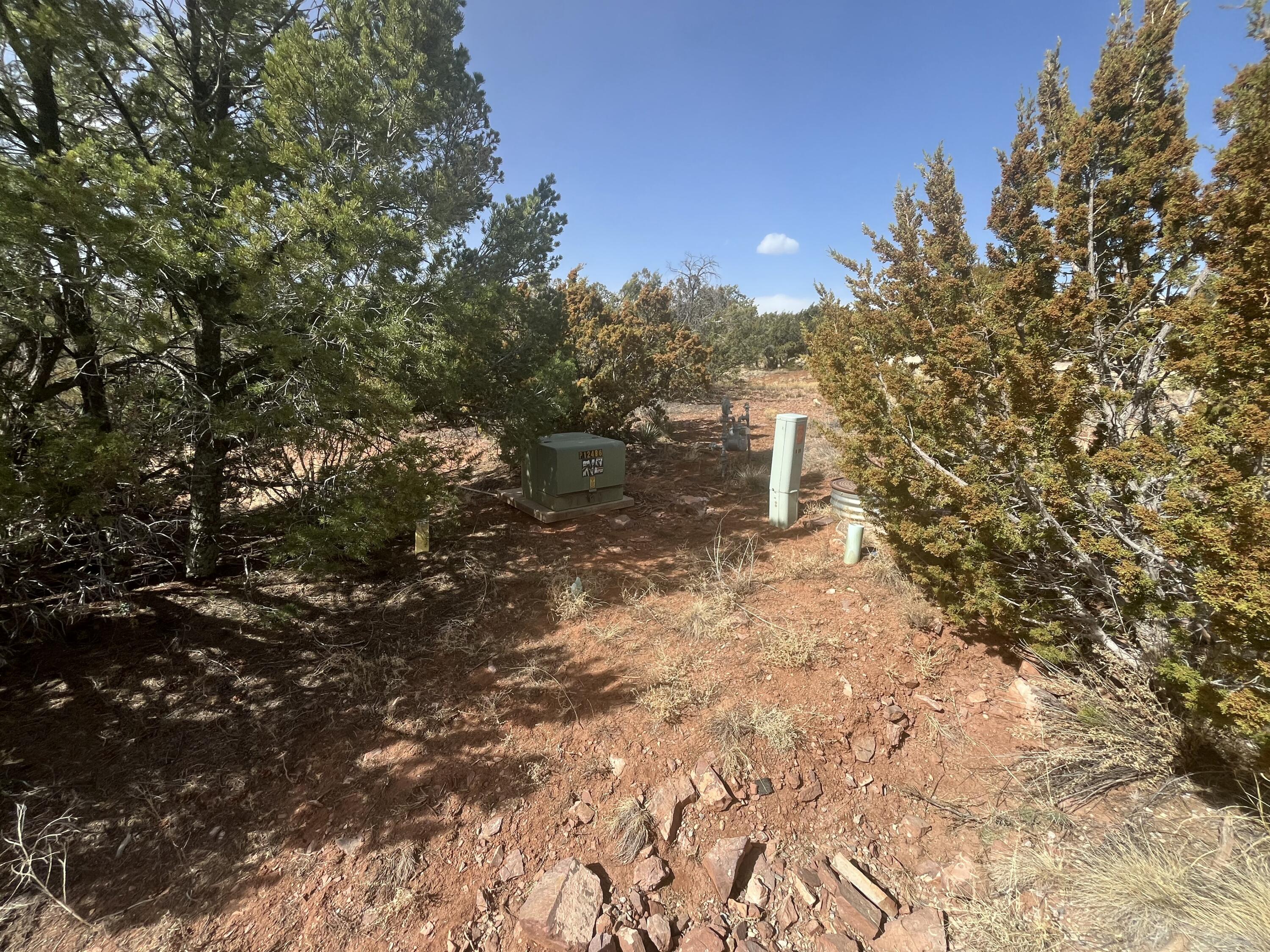 Photo 4 — 58 Moccasin Trail