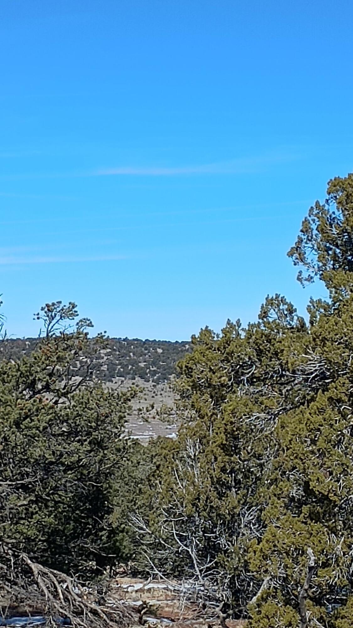 Photo 6 —  Deer Run Trail
