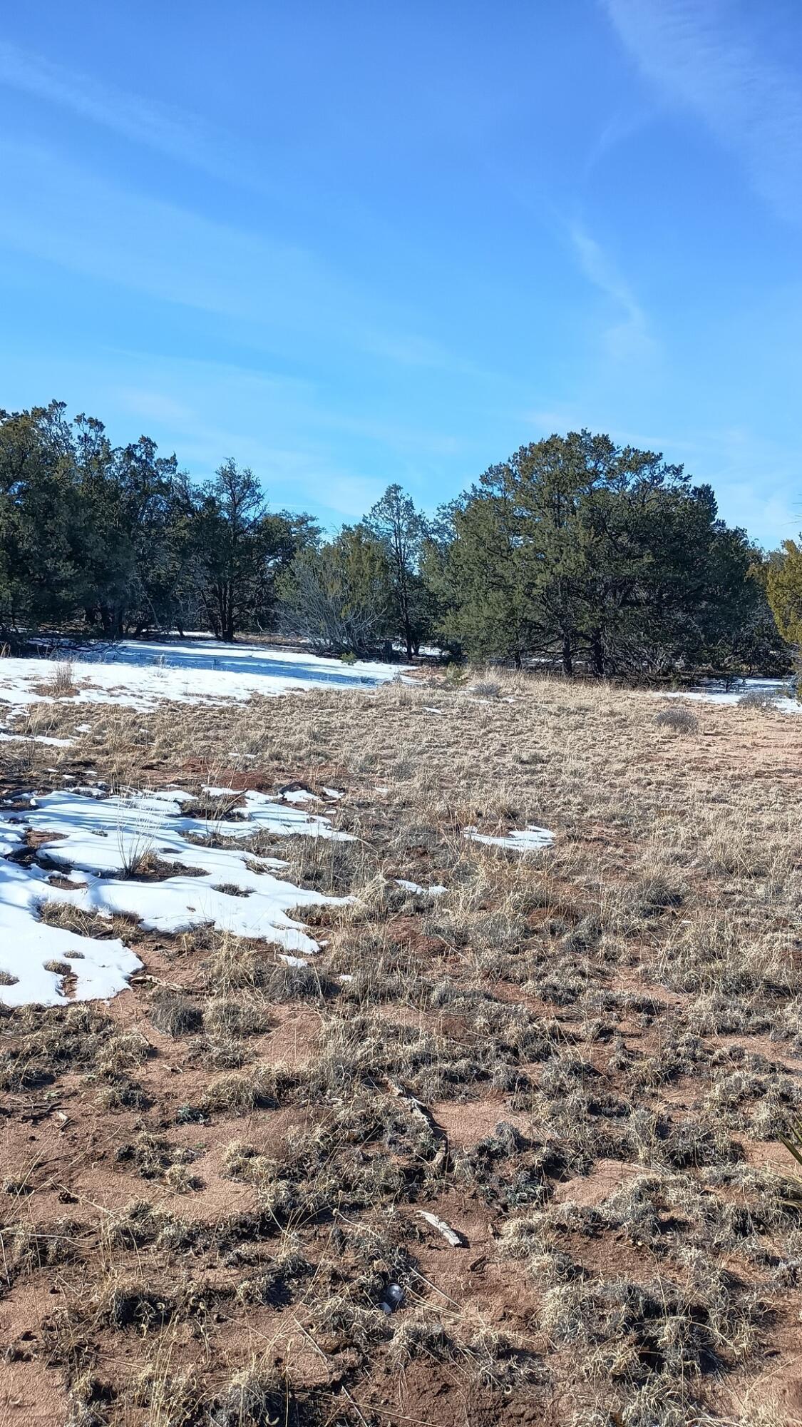Photo 4 —  Deer Run Trail