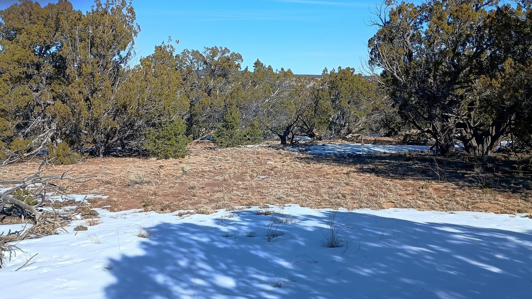 Photo 3 —  Deer Run Trail