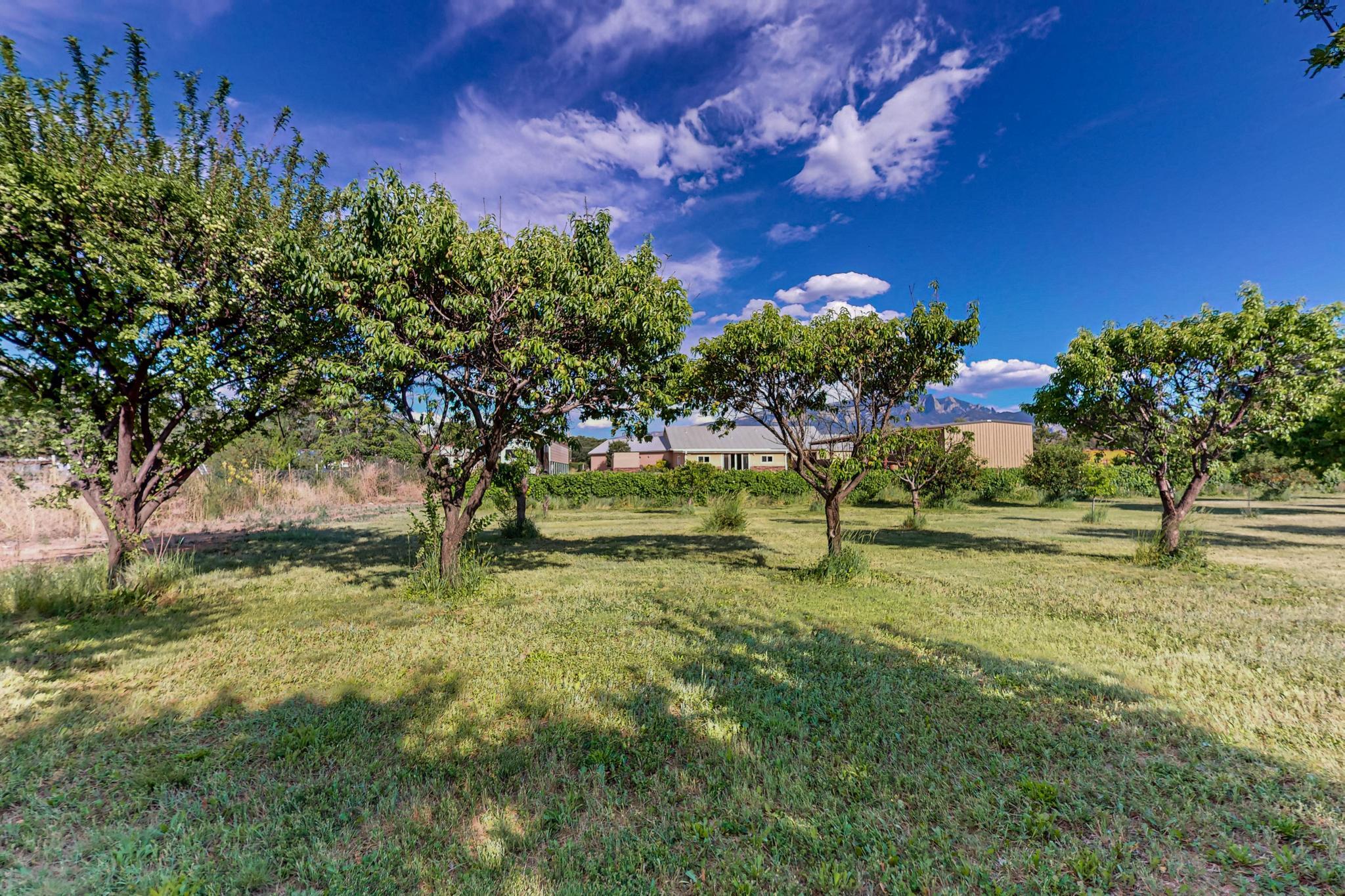 Photo 19 — 17 Llanito Road