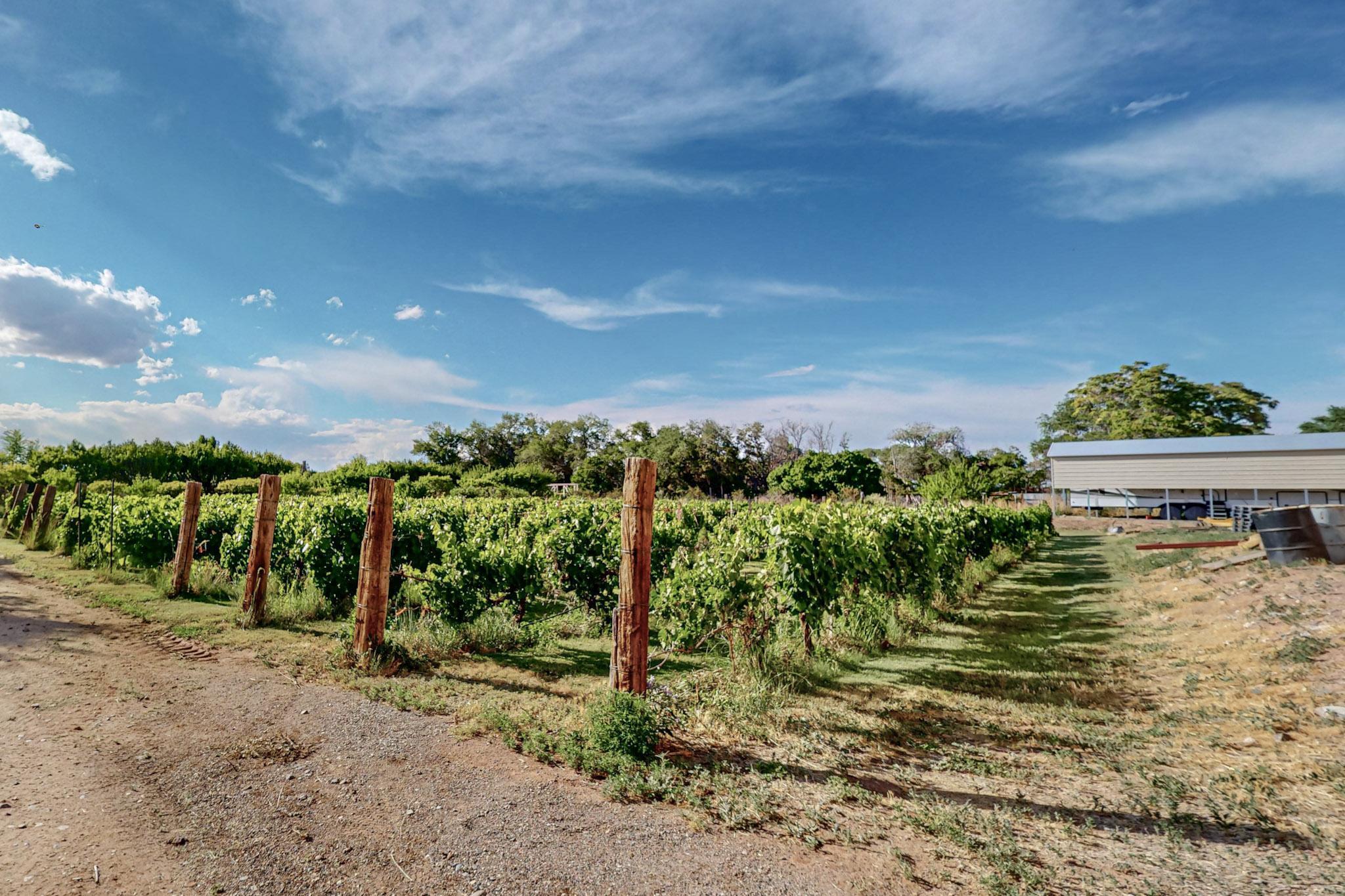 Photo 13 — 17 Llanito Road