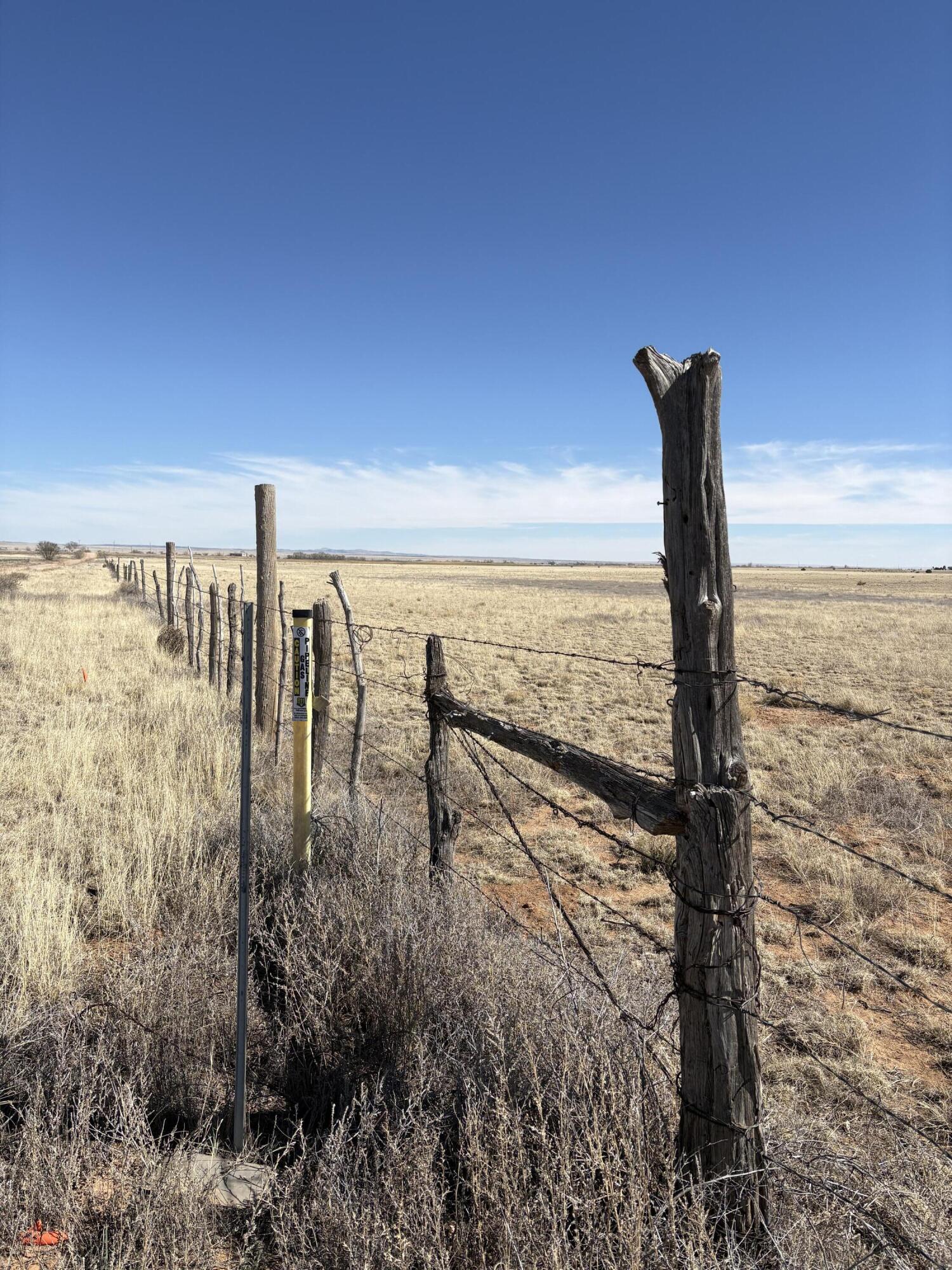 Dorthea, Moriarty, NM 87035