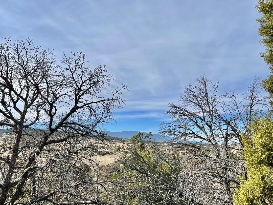 194 B County Line Road, Edgewood, NM 87015