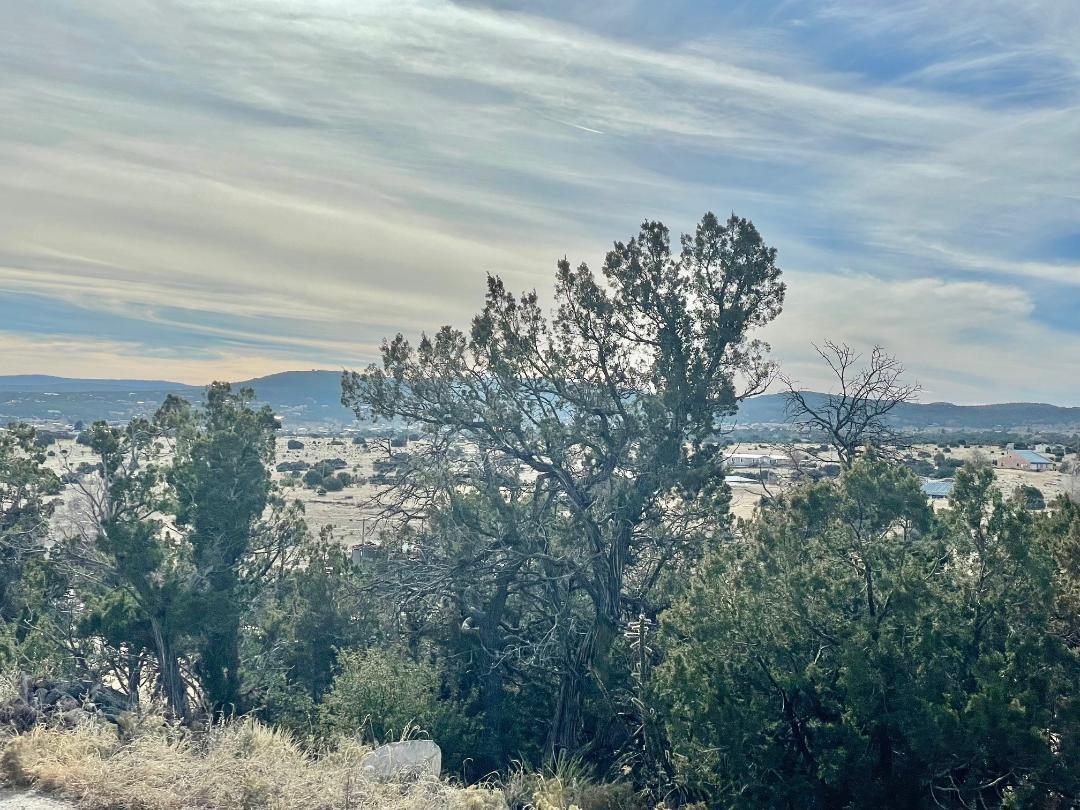 Photo 9 — 194 B County Line Road