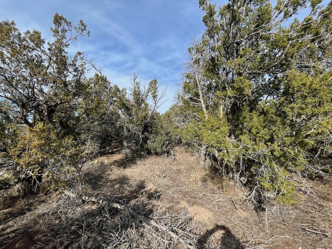 Photo 5 — 194 B County Line Road