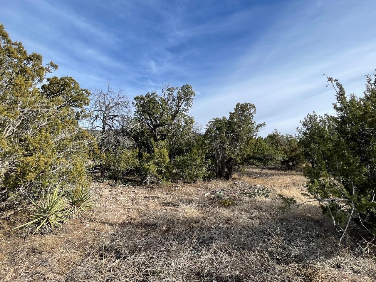 Photo 4 — 194 B County Line Road